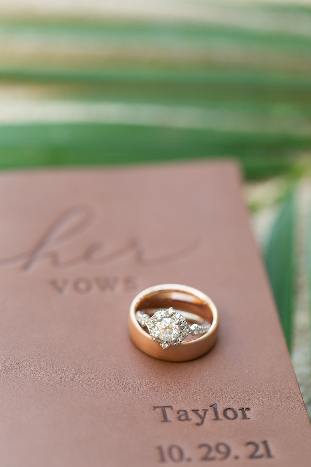 Karlie Colleen Photography - Taylor & Blake - Cabo Mexico Wedding - Hacienda Cocina & Cantina-5