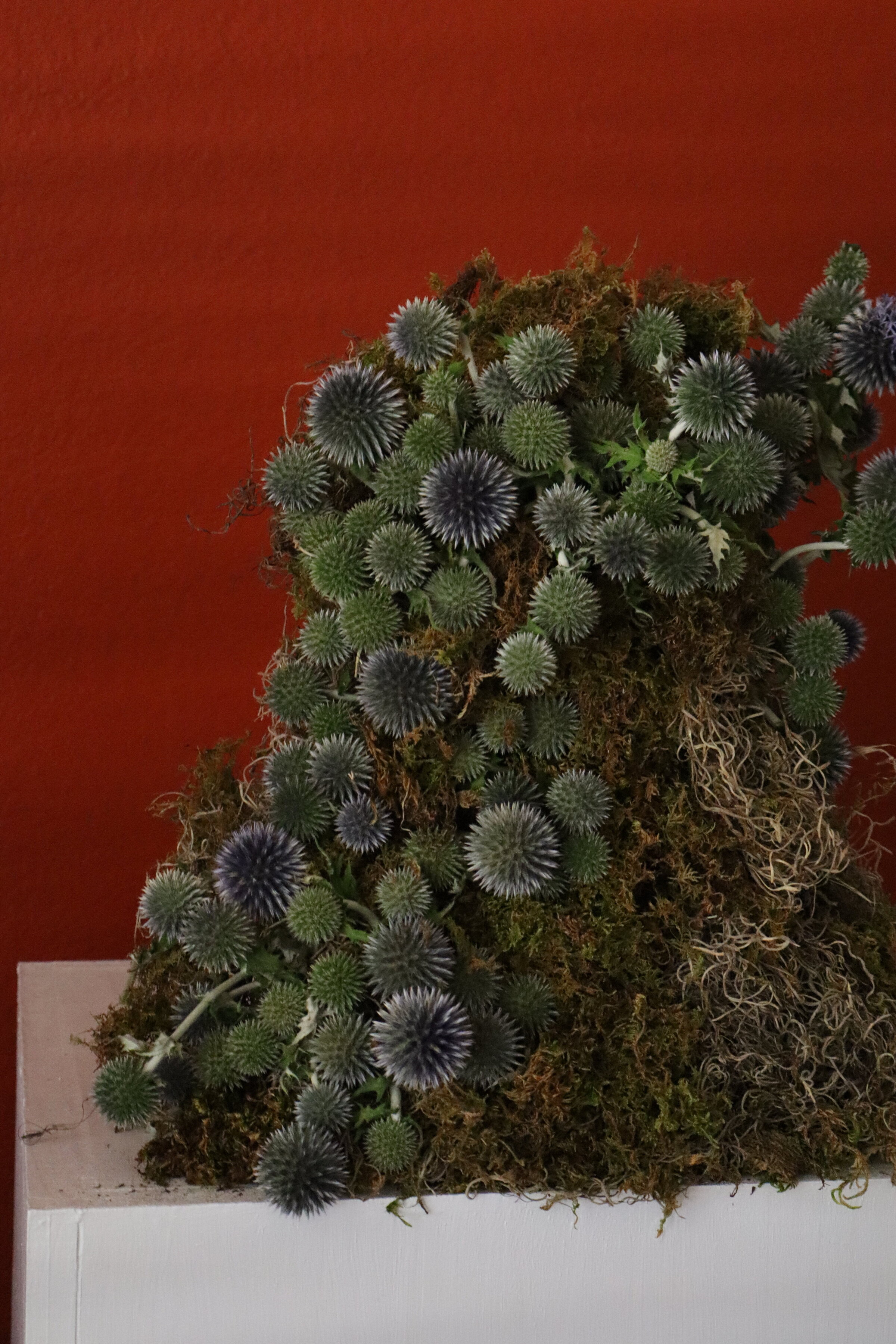 modern-tropical-arizona (14)