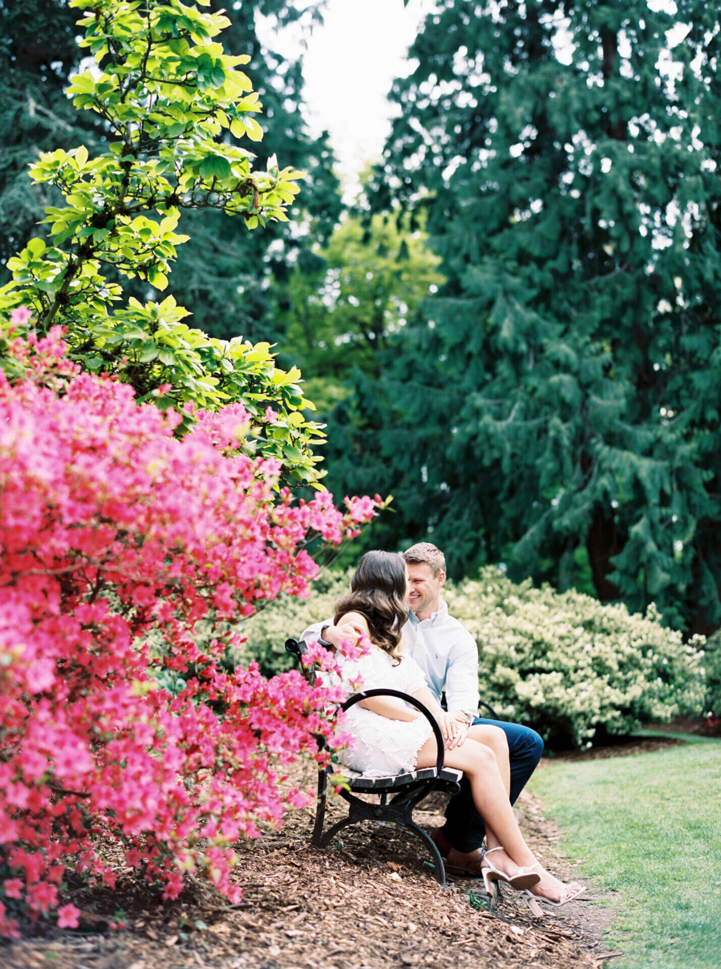 pink flowers bloom at a park while couple cuddles on bench in the background