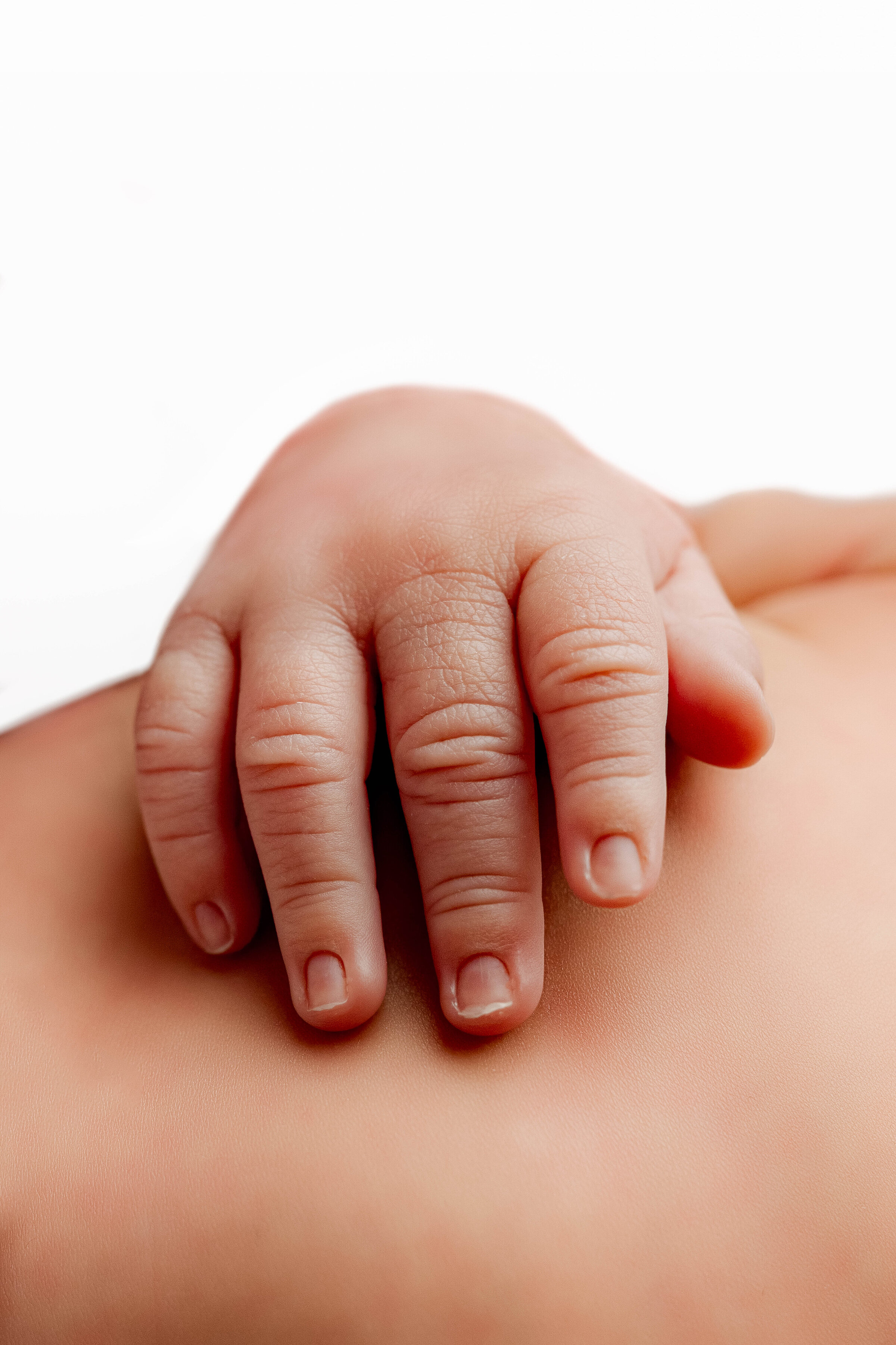 Grayson-newborn-nicso studio-charlotte-140