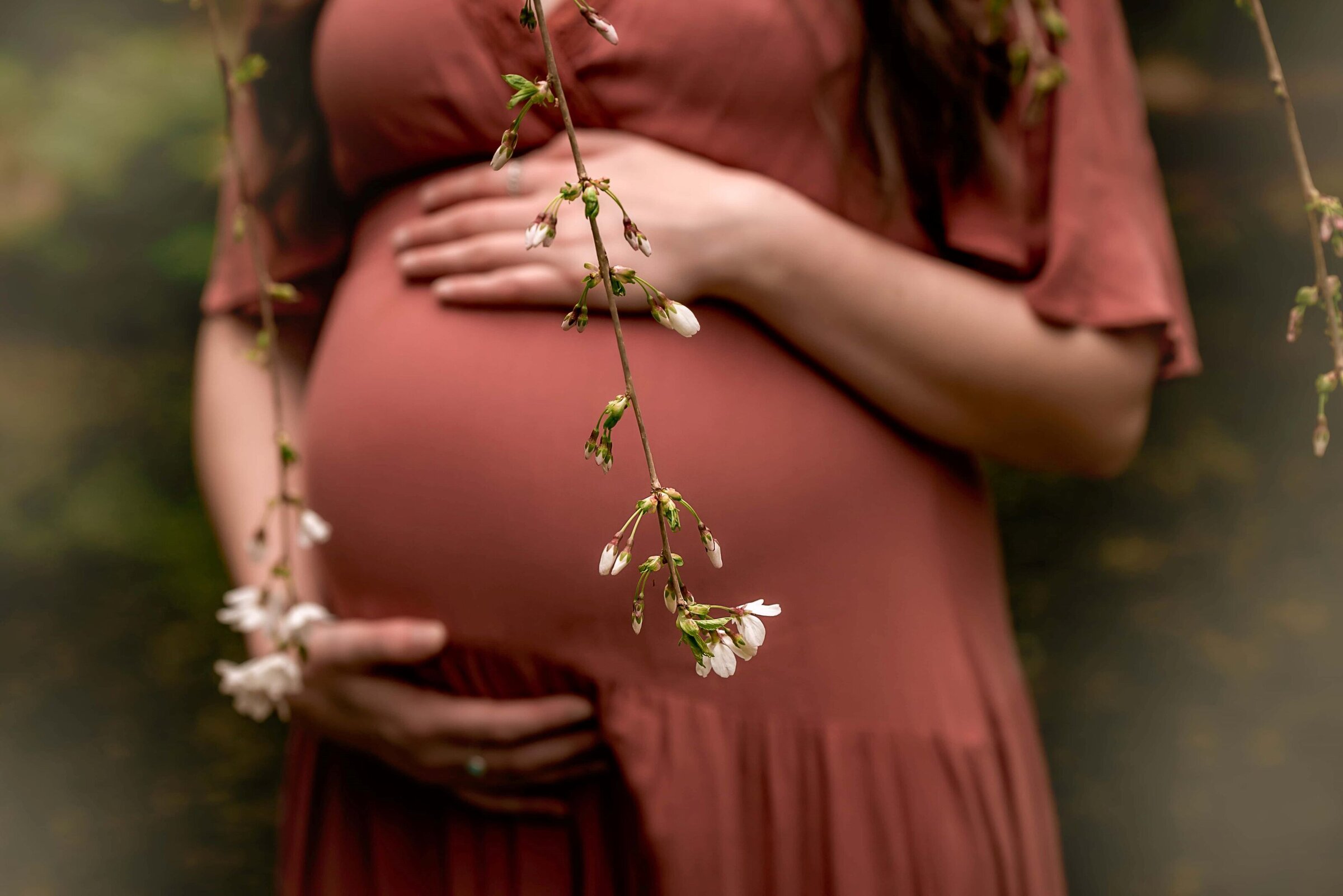 Close up of pregnant women's belly behind the Spring blossoms