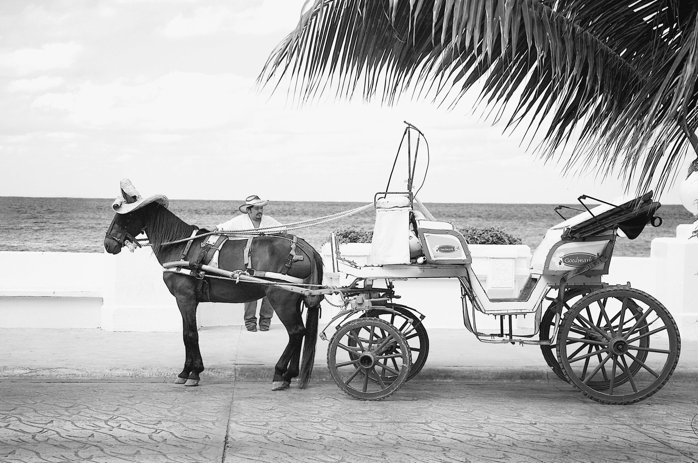 disneycruise204-bw