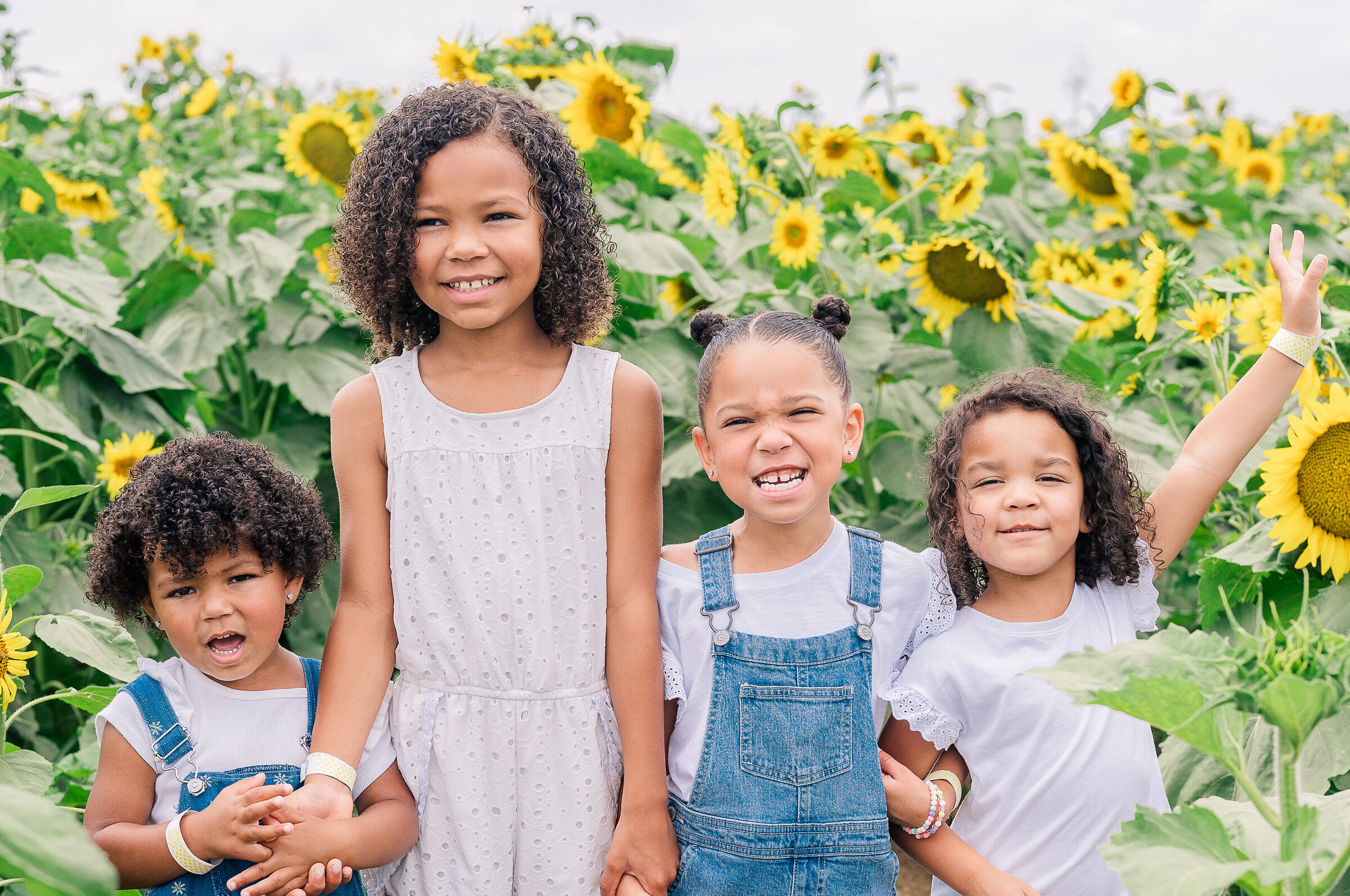Four sisters smiling among sunflowers  at Evans Orchard in Georgetown Kentucky
