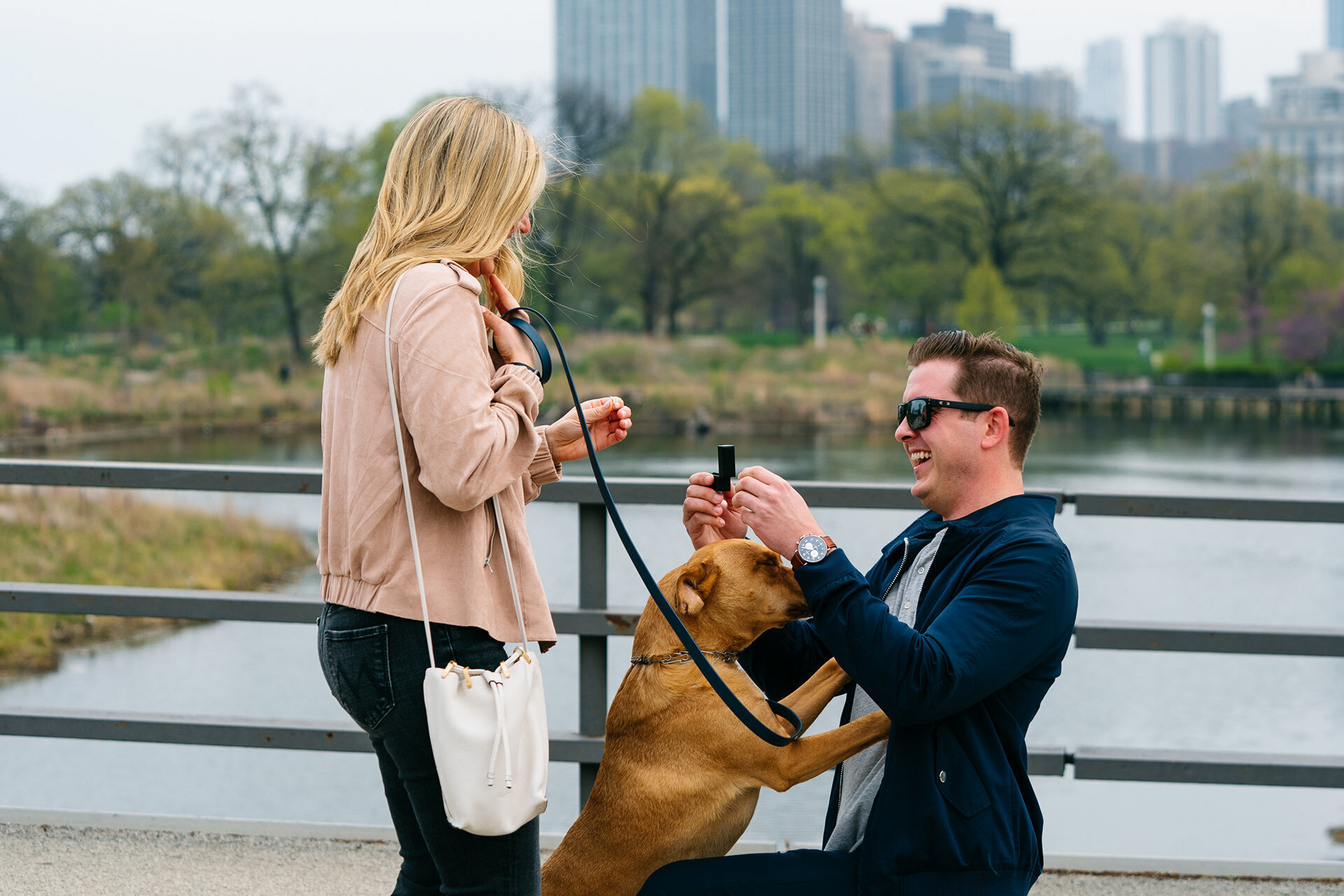 Proposal in LIncoln Park, Chicago Illinois
