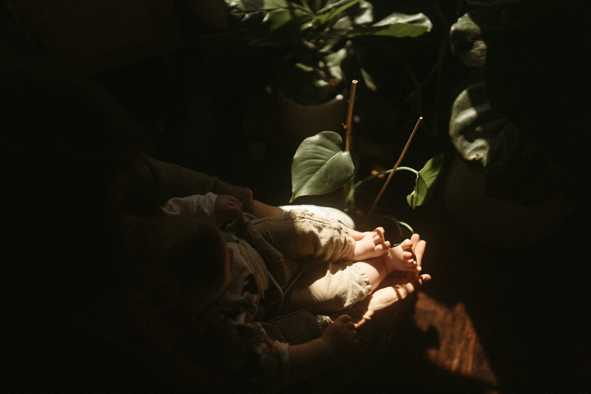 ncfamilyphotographer-15