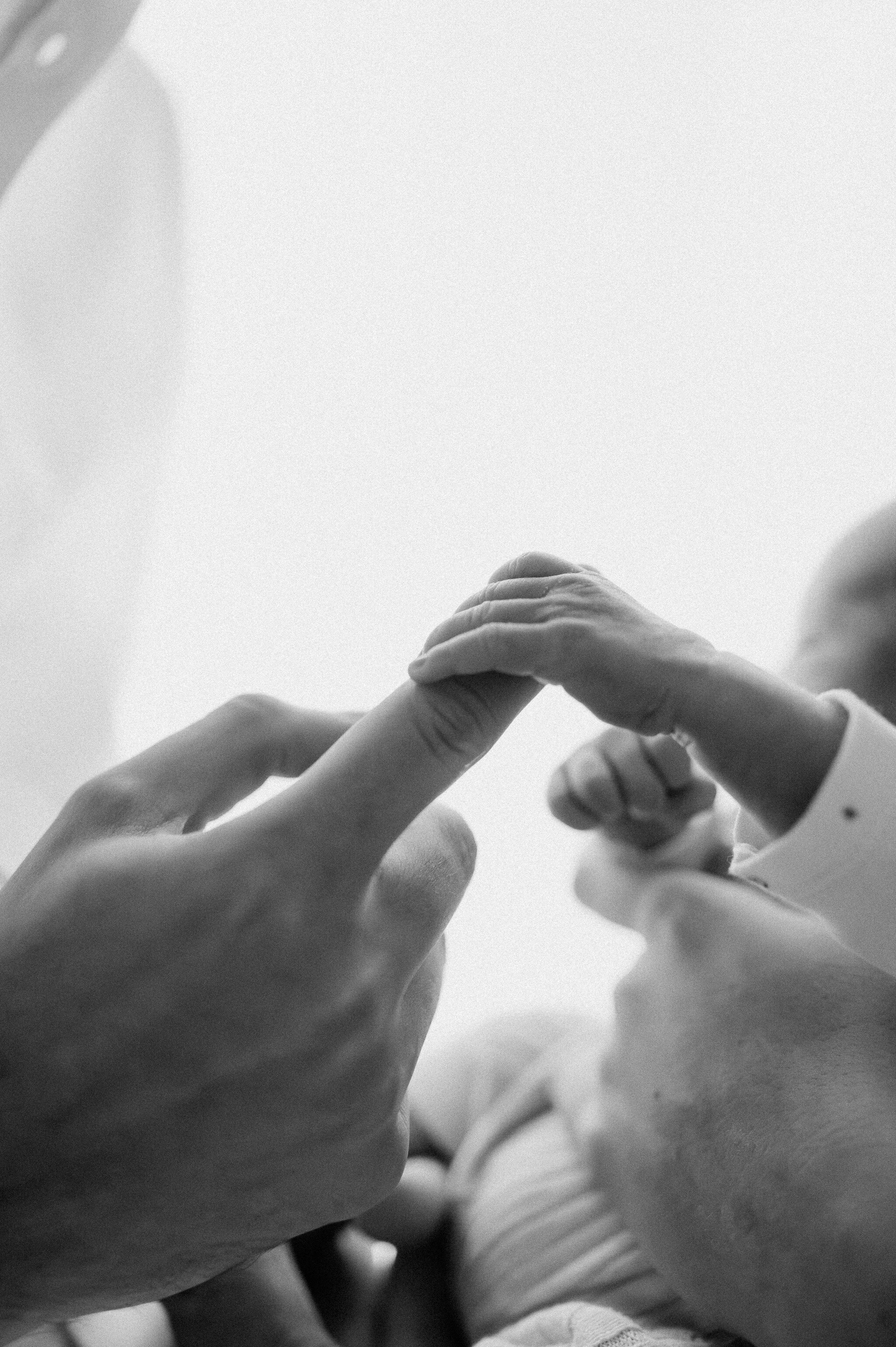 newborn baby hands taken by York photographer near Leeds, Harrogate and Ripon