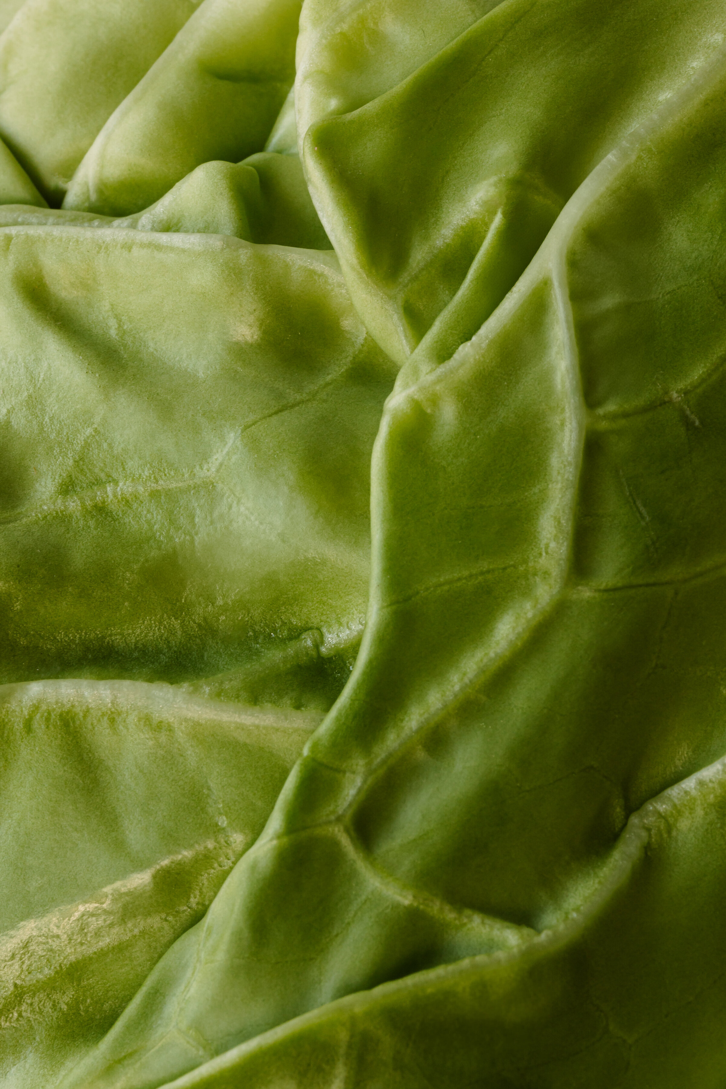 Minimalist Vegetable Compositions (11)