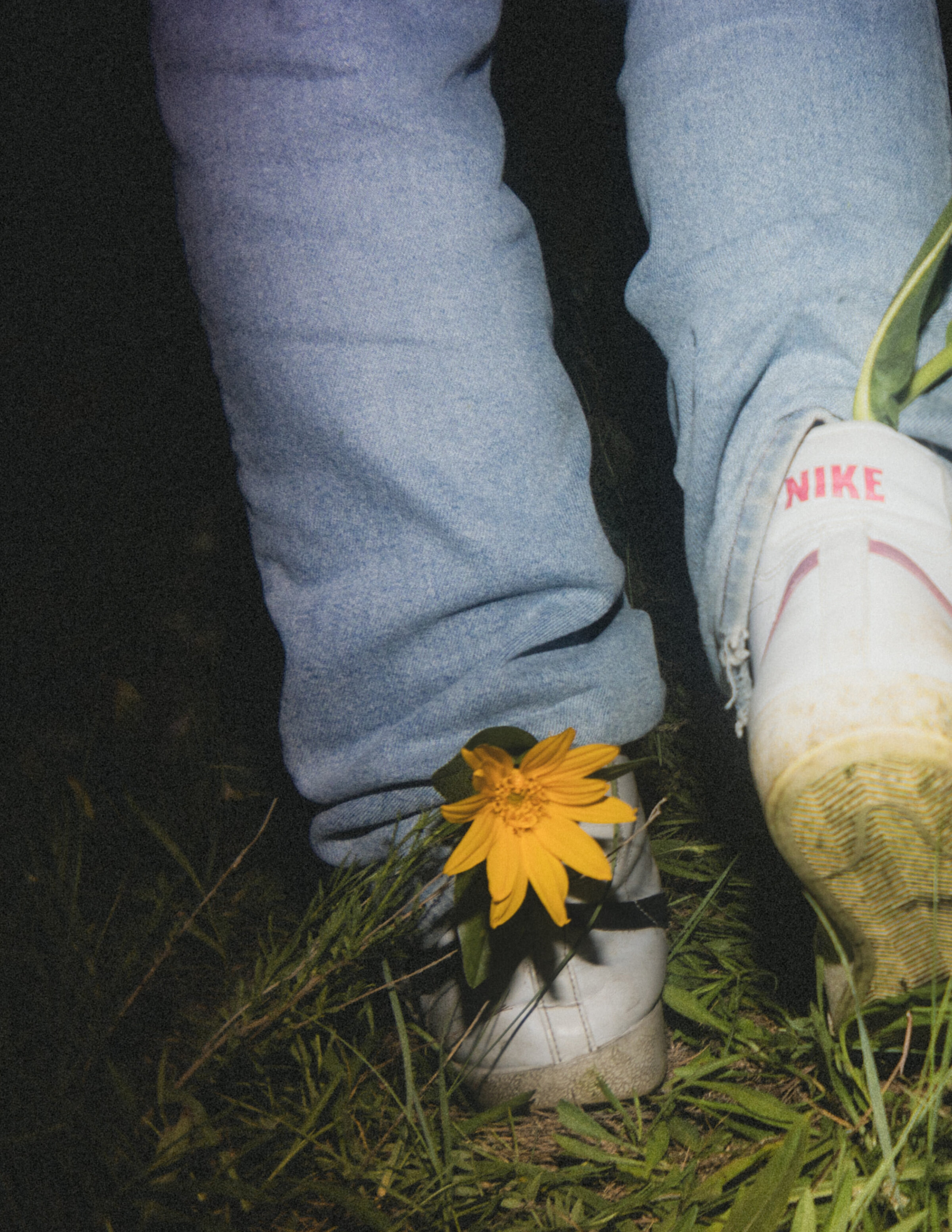 Daisies Outtakes9