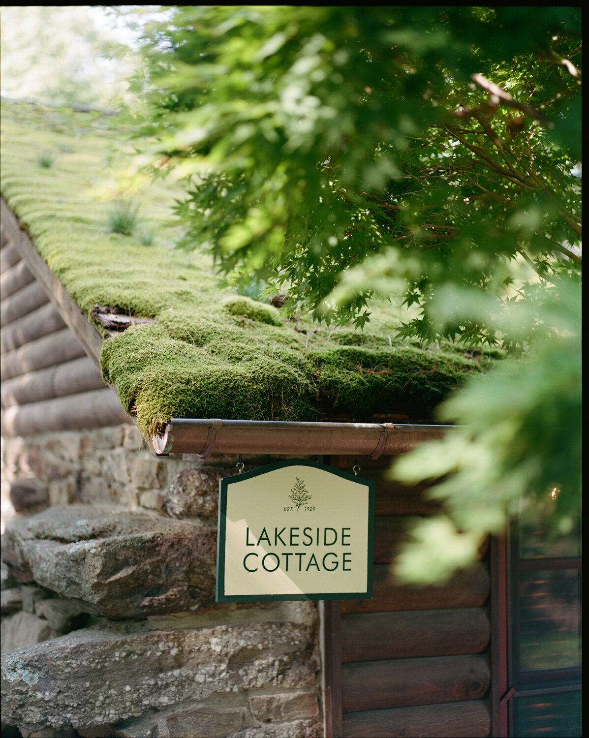 Cedar Lakes Estate Wedding - Afrik Armando-113