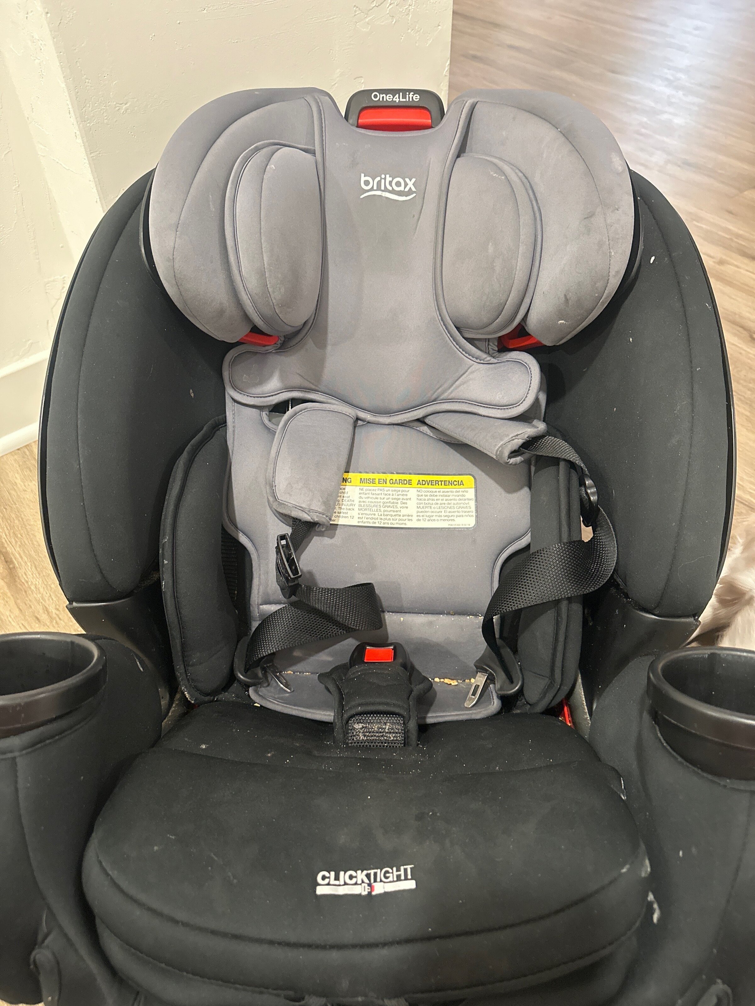 IMG_1A950F2D-08D9-4029-949D-10073954A504