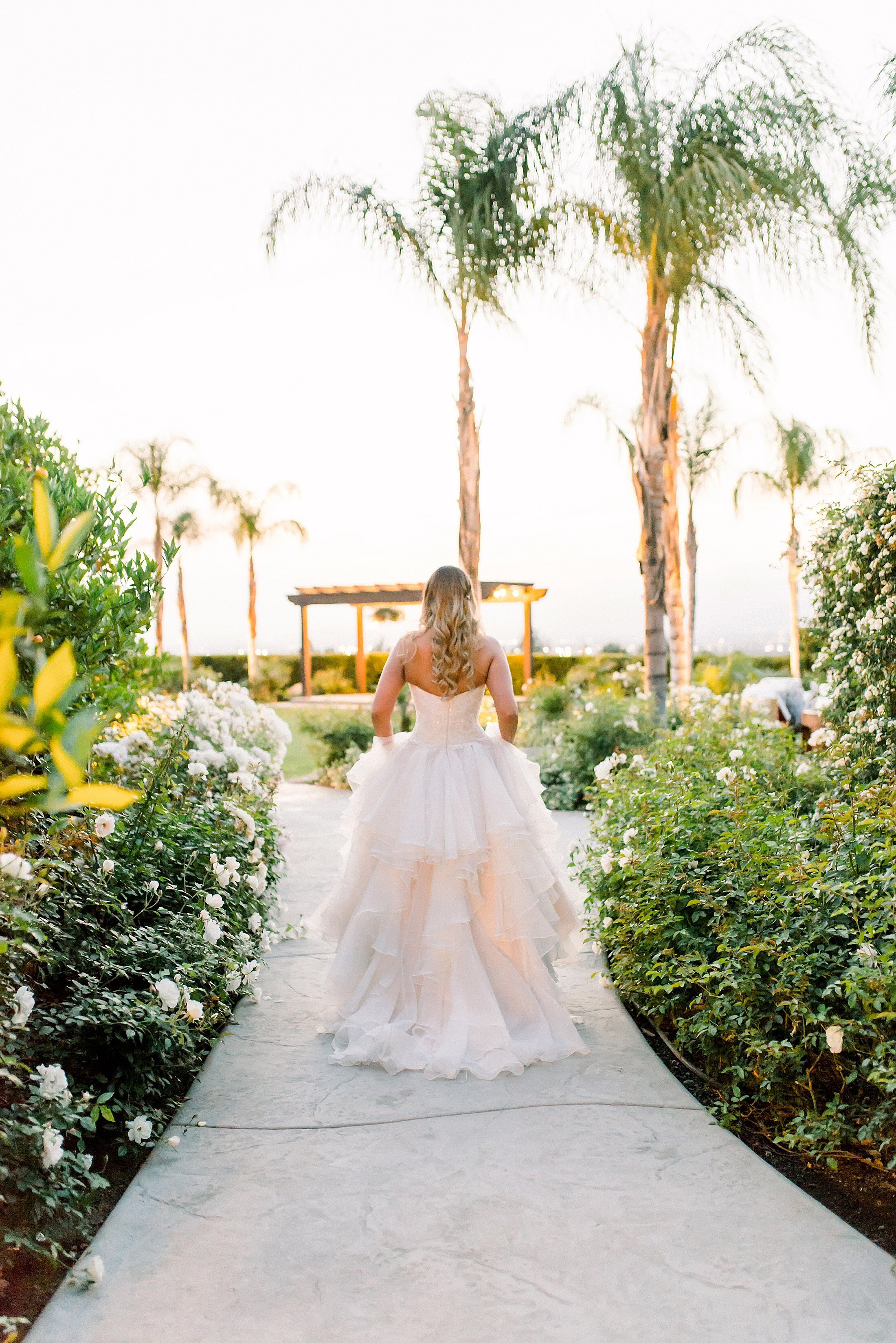 MIchelle Peterson Photography Redlands Wedding Elopement Yucaipa Photographer_9303