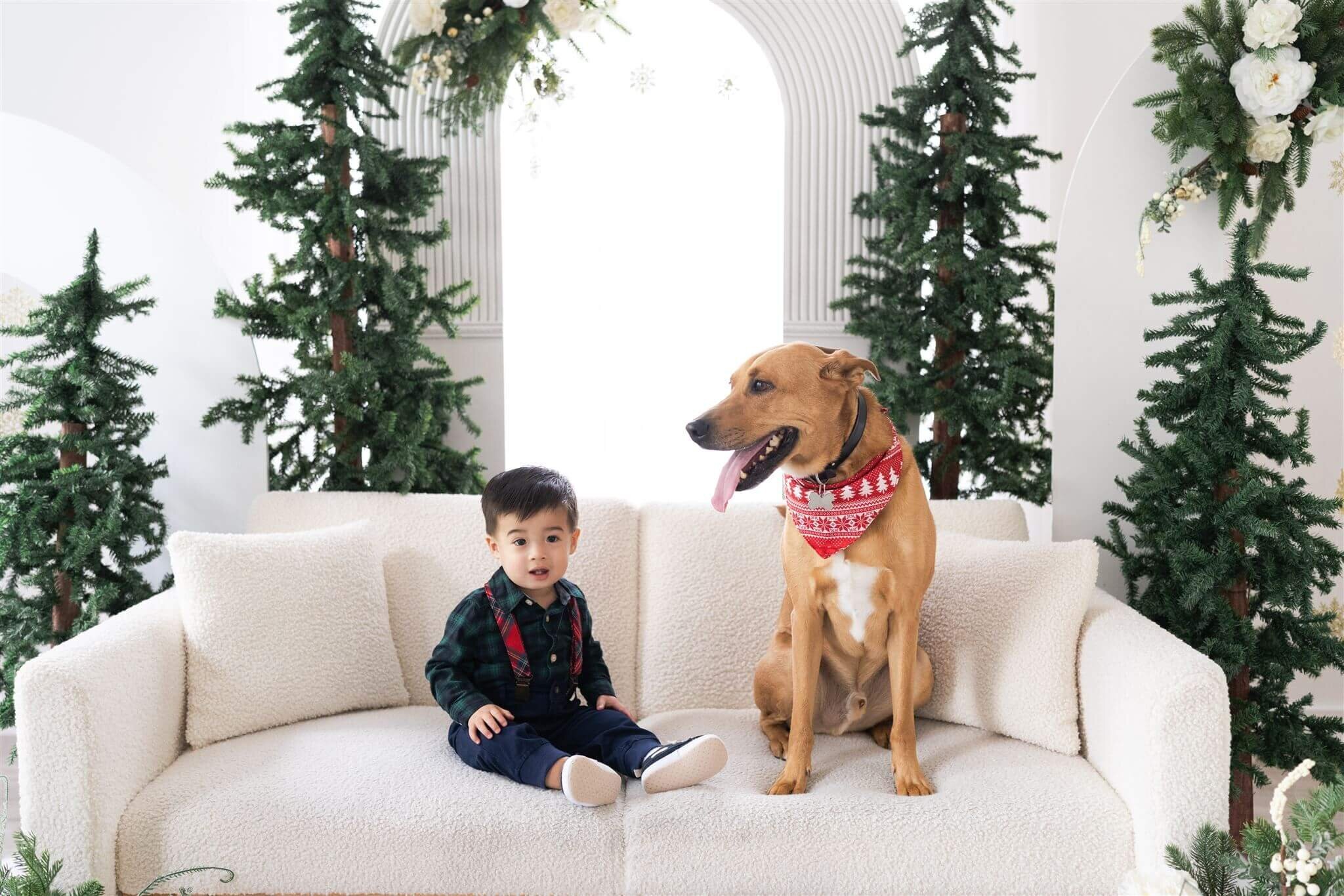 Houstons best Christmas mini photographer 4