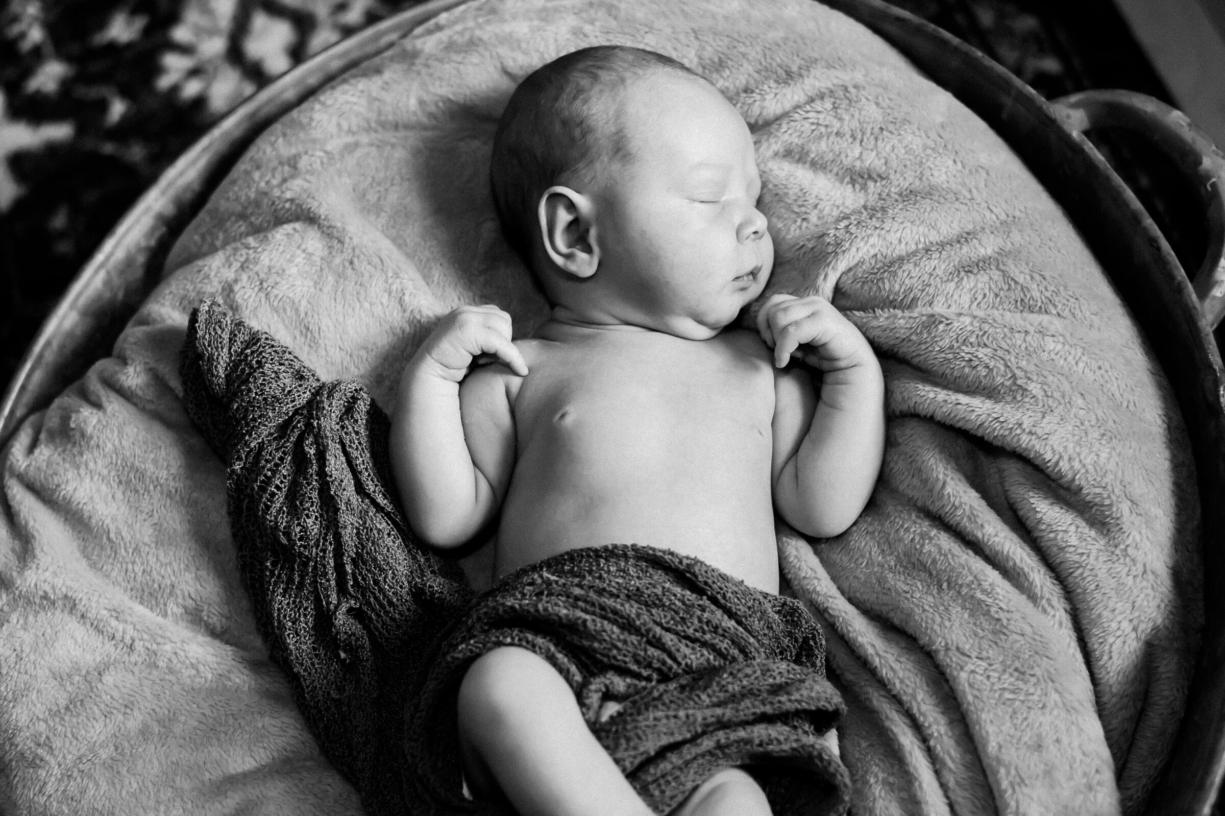 Red Deer Newborn Photographer