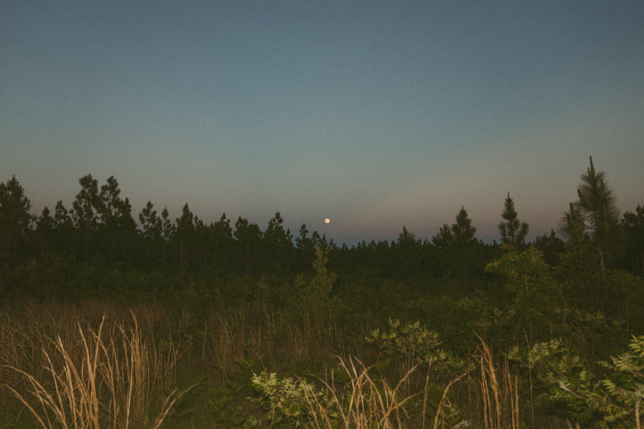 bestelopementphotographersinnc-3