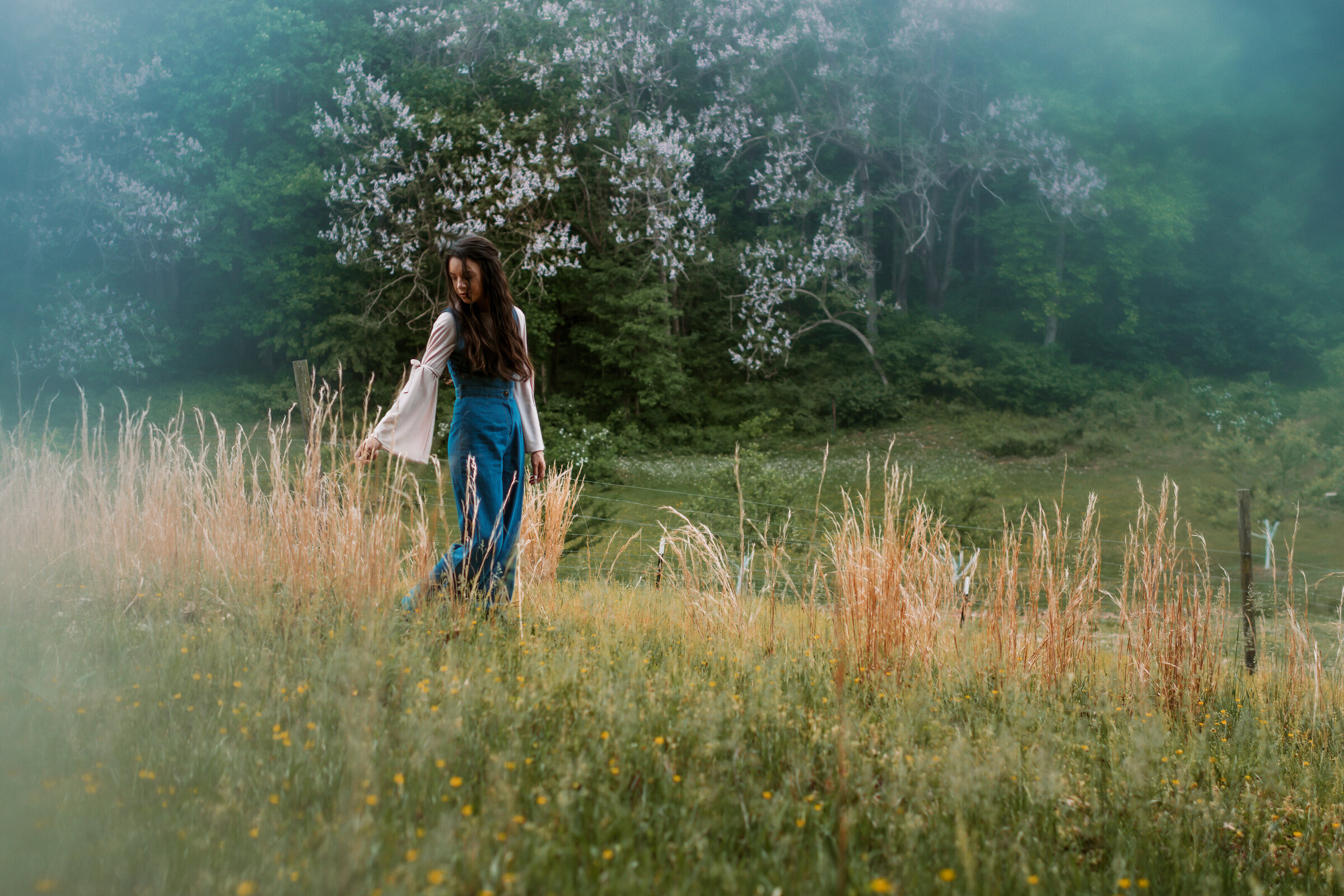 _DSC6996-Edit