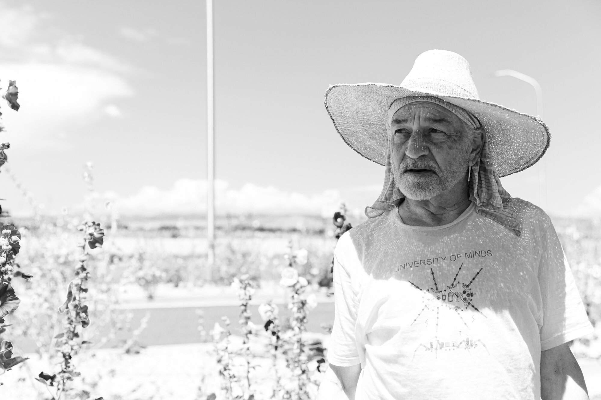 taos-4
