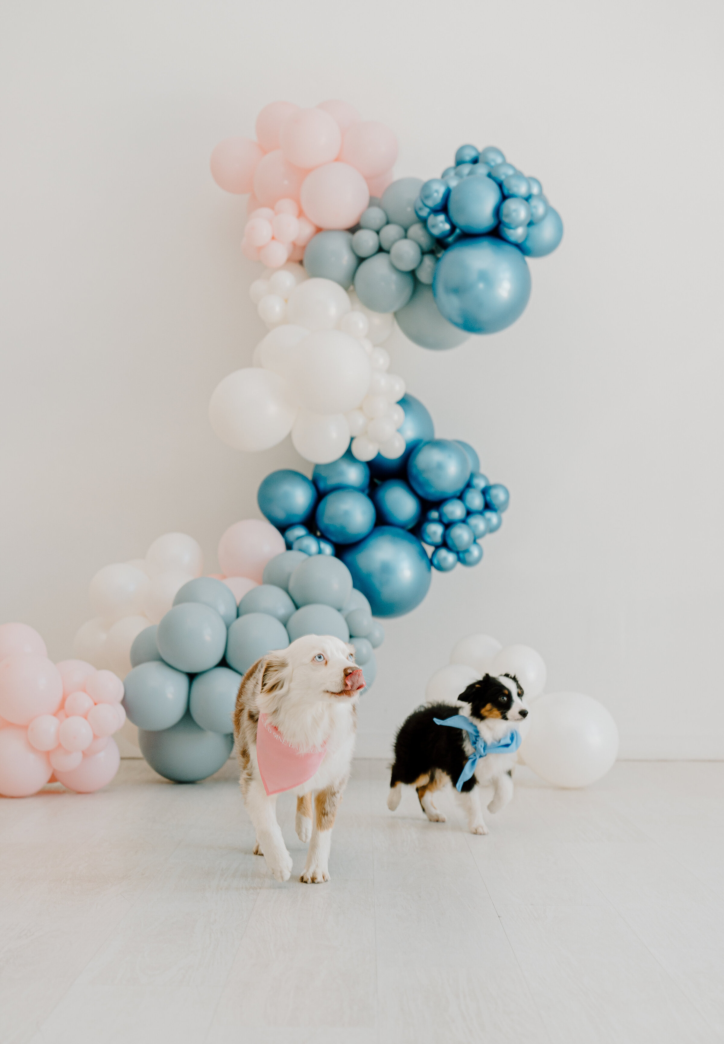 Austin - balloons -6