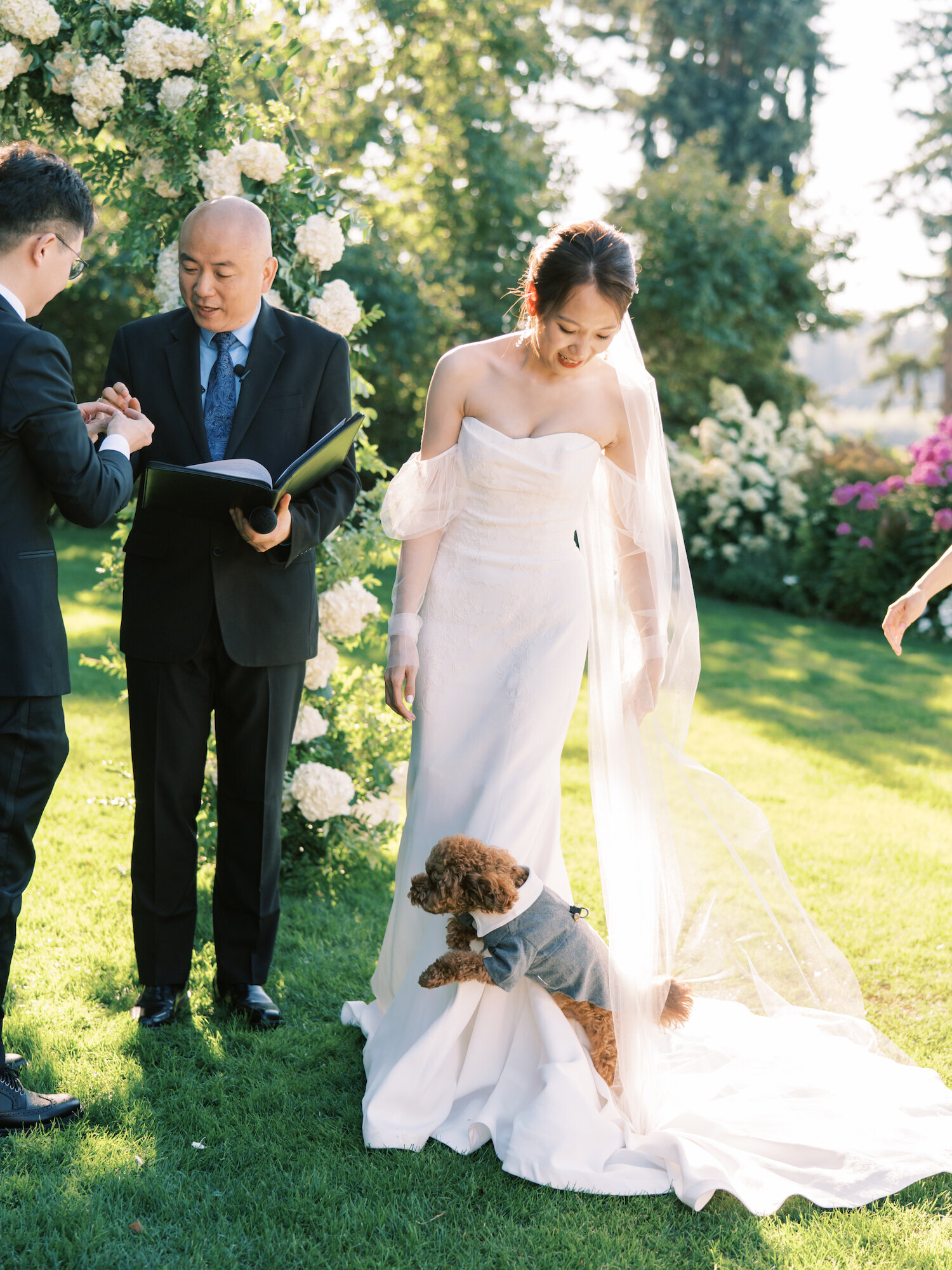 havapoo dog with bride at wedding ceremony