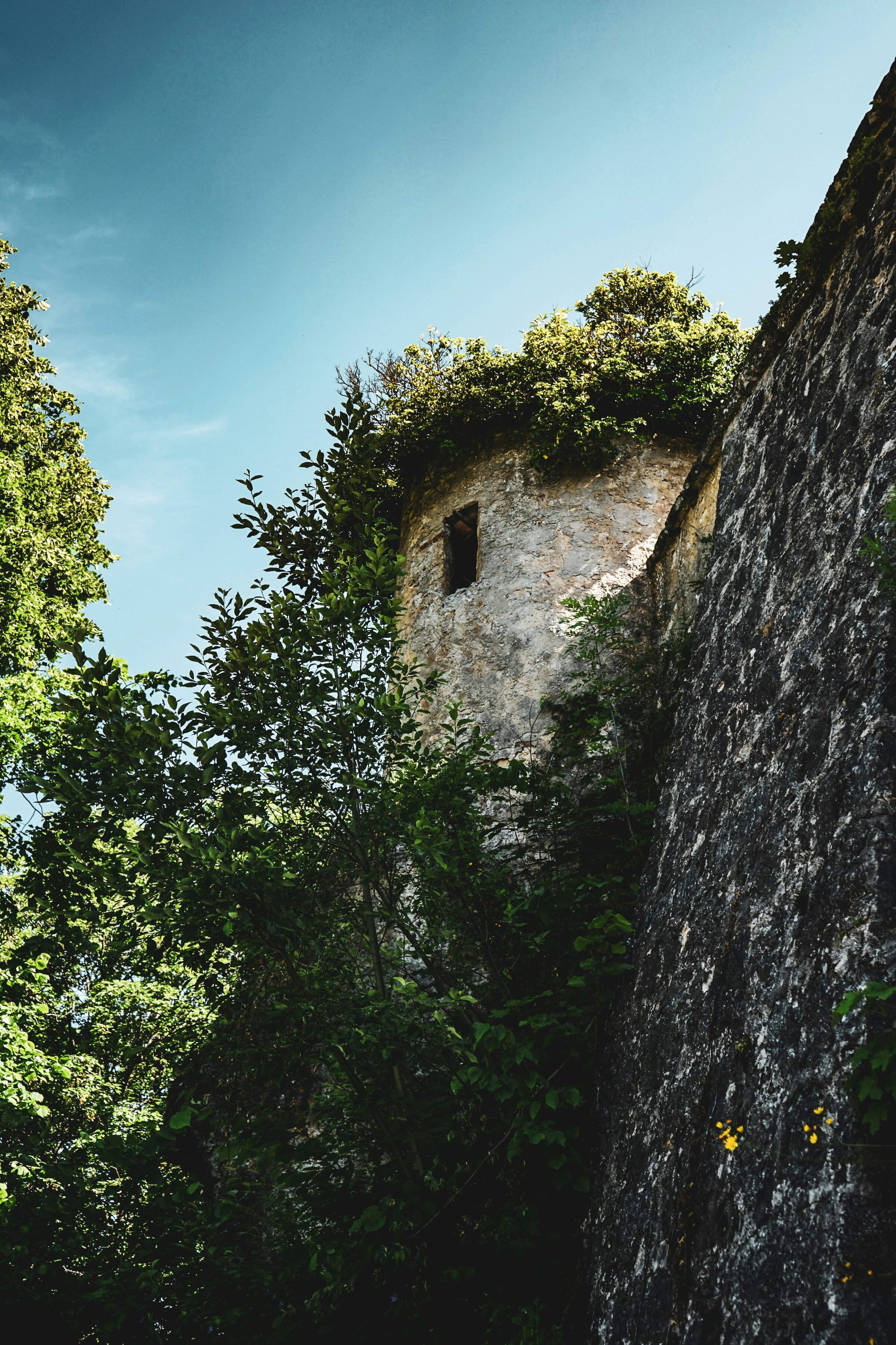 frank-albrecht-evB-xuic_BM-unsplash