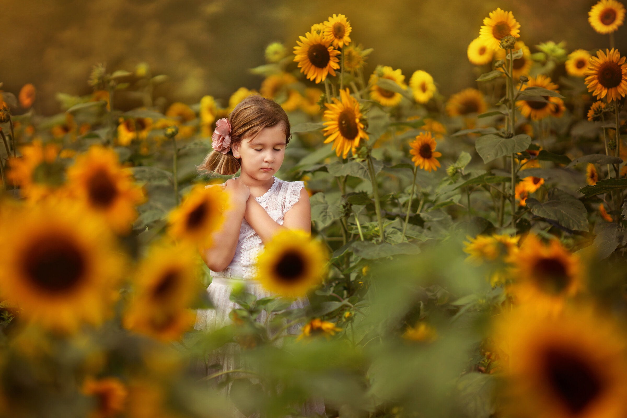 Starla.Sunflowers.2019.6 2