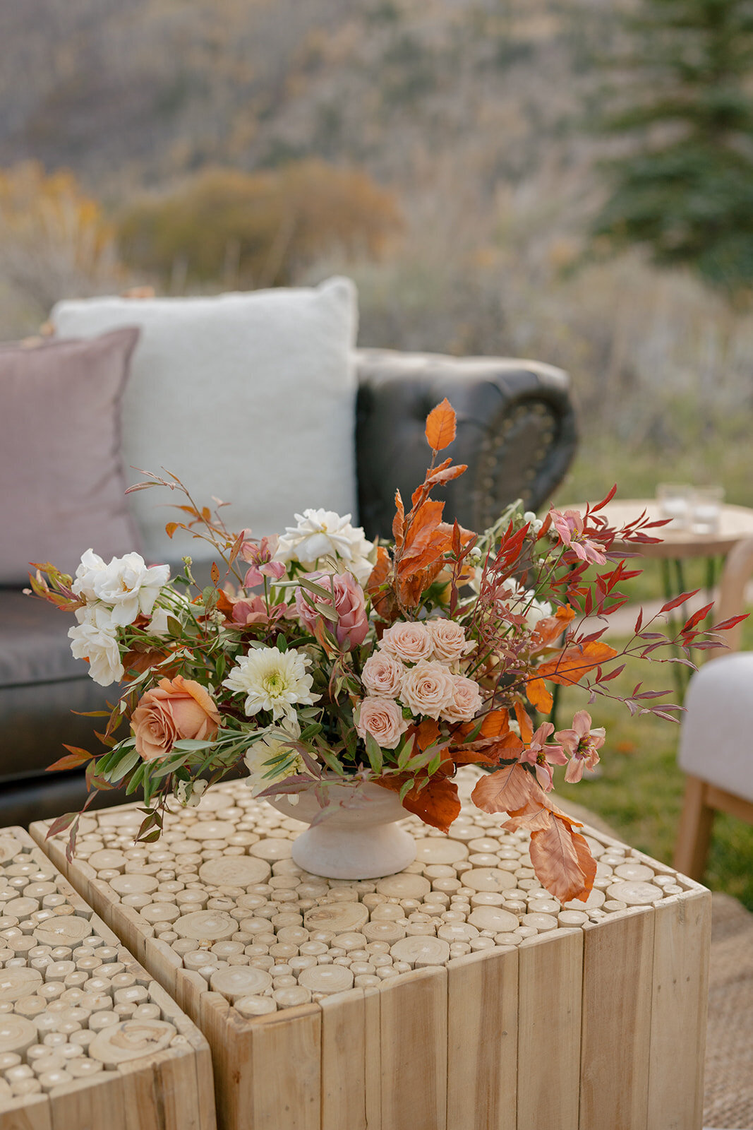 9938156192.jpg_exif1