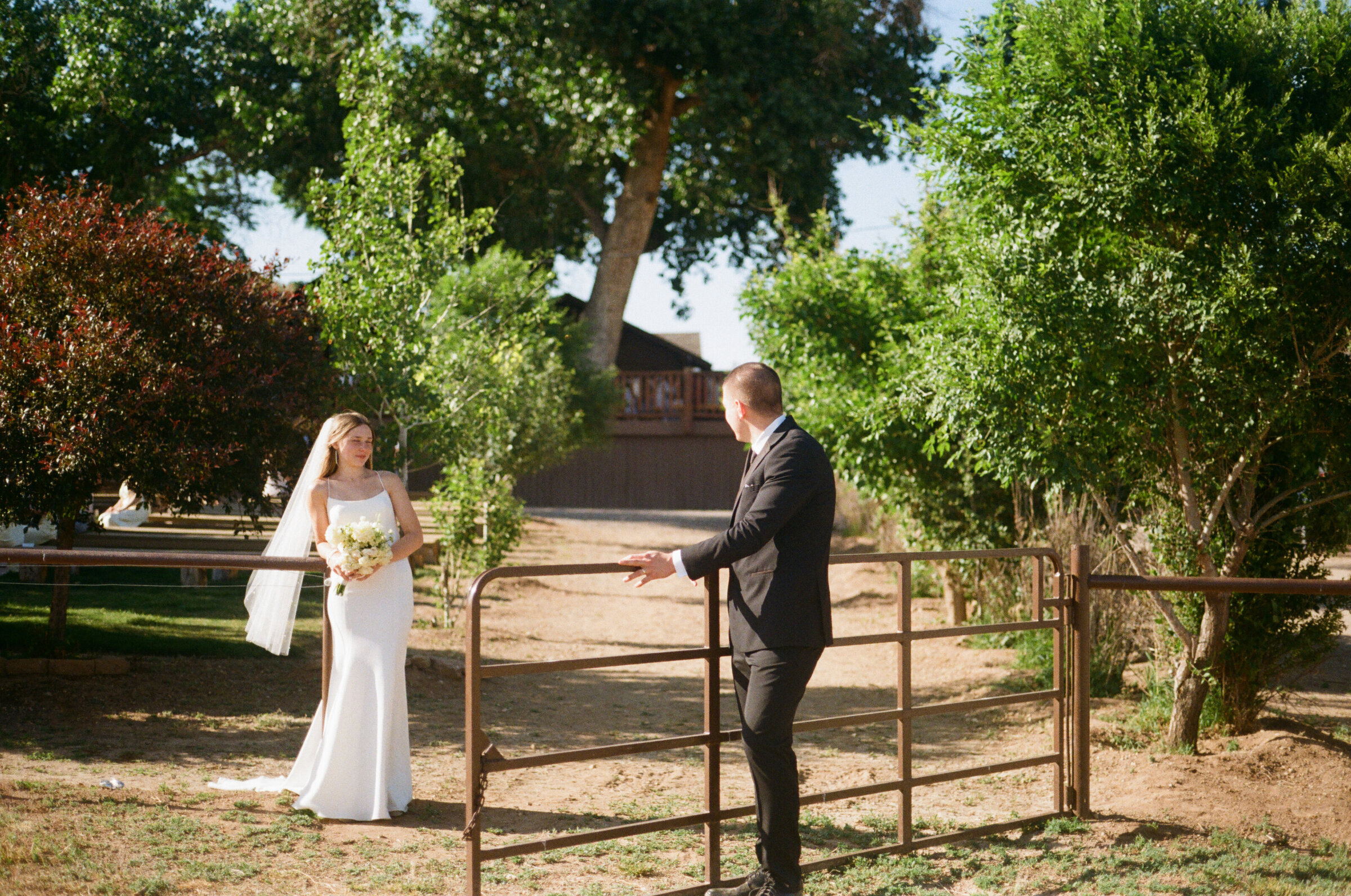 Summer Film- WEB-70