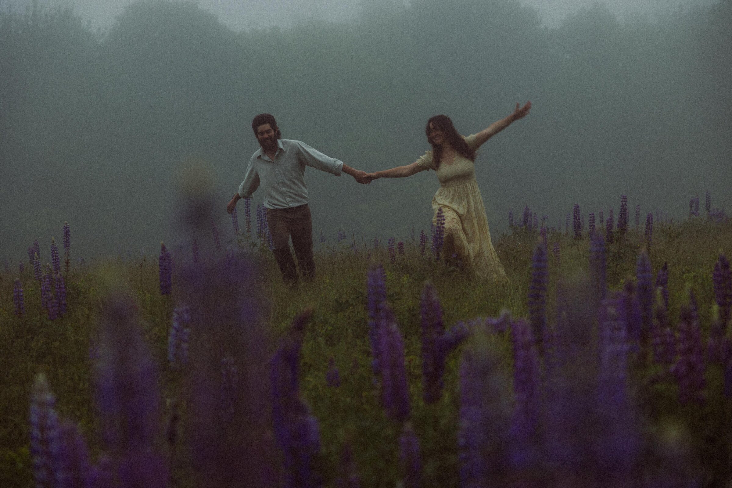 Viewing Lupines in Maine