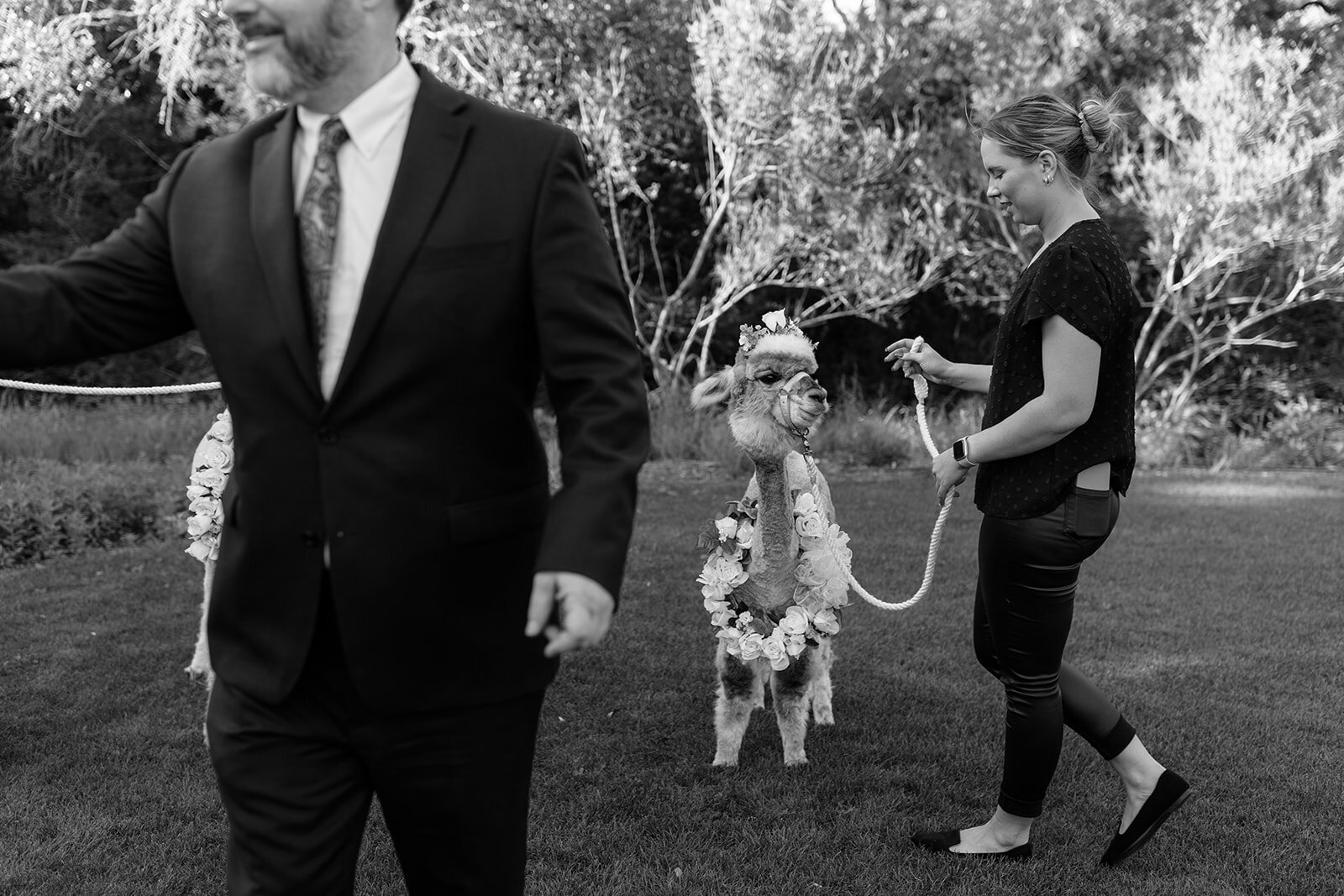 Grace + Taylor-1082_websize