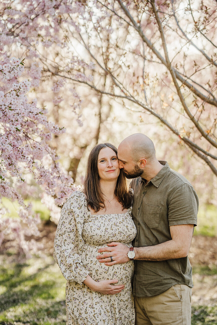 man kisses pregnant wife under cherry blossom trees for maternity photos