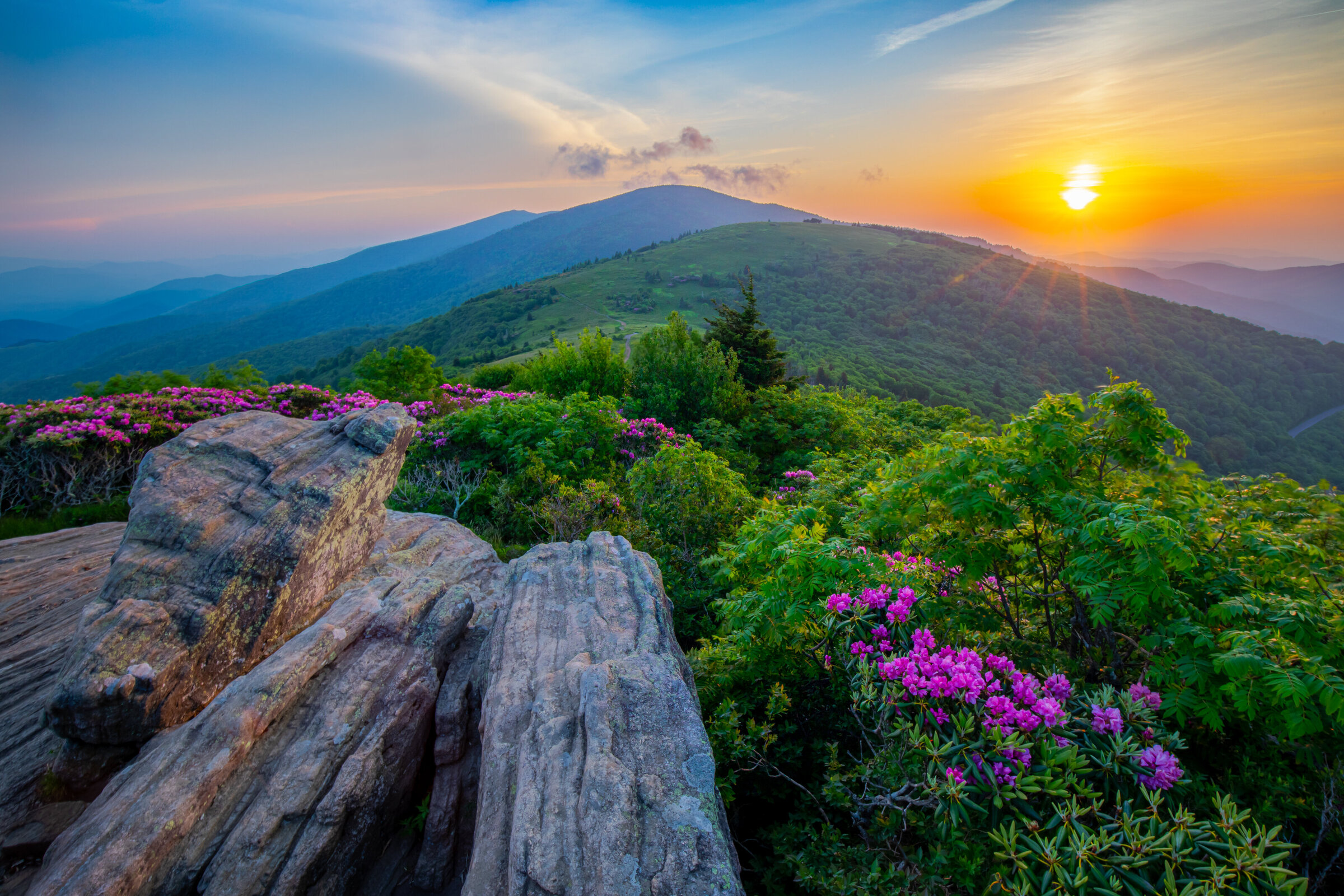 Roan Mountain Landscape by Michael Kaal Photography 