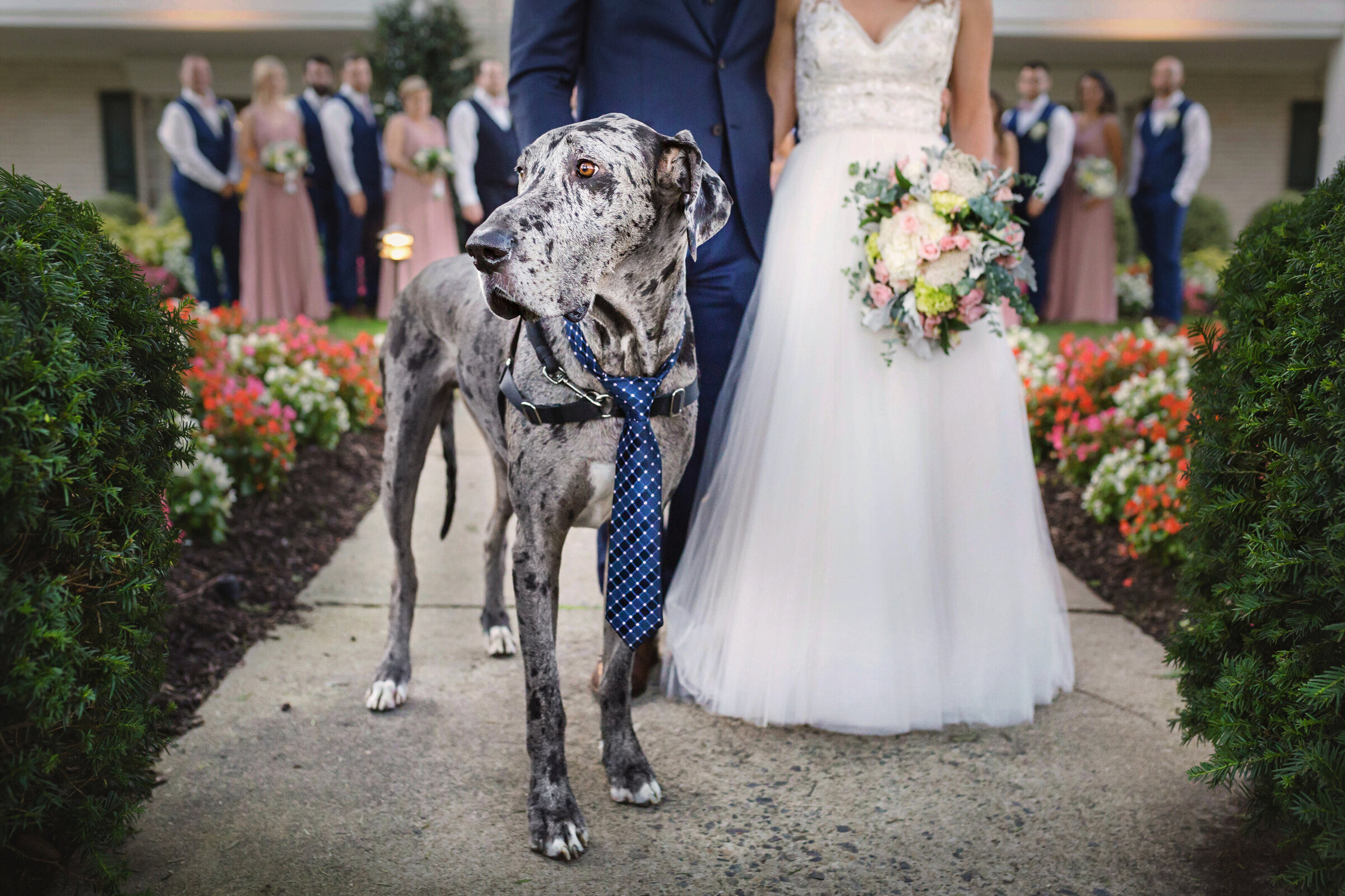 KOD_NewJersey_wedding_photographer_photographer_124