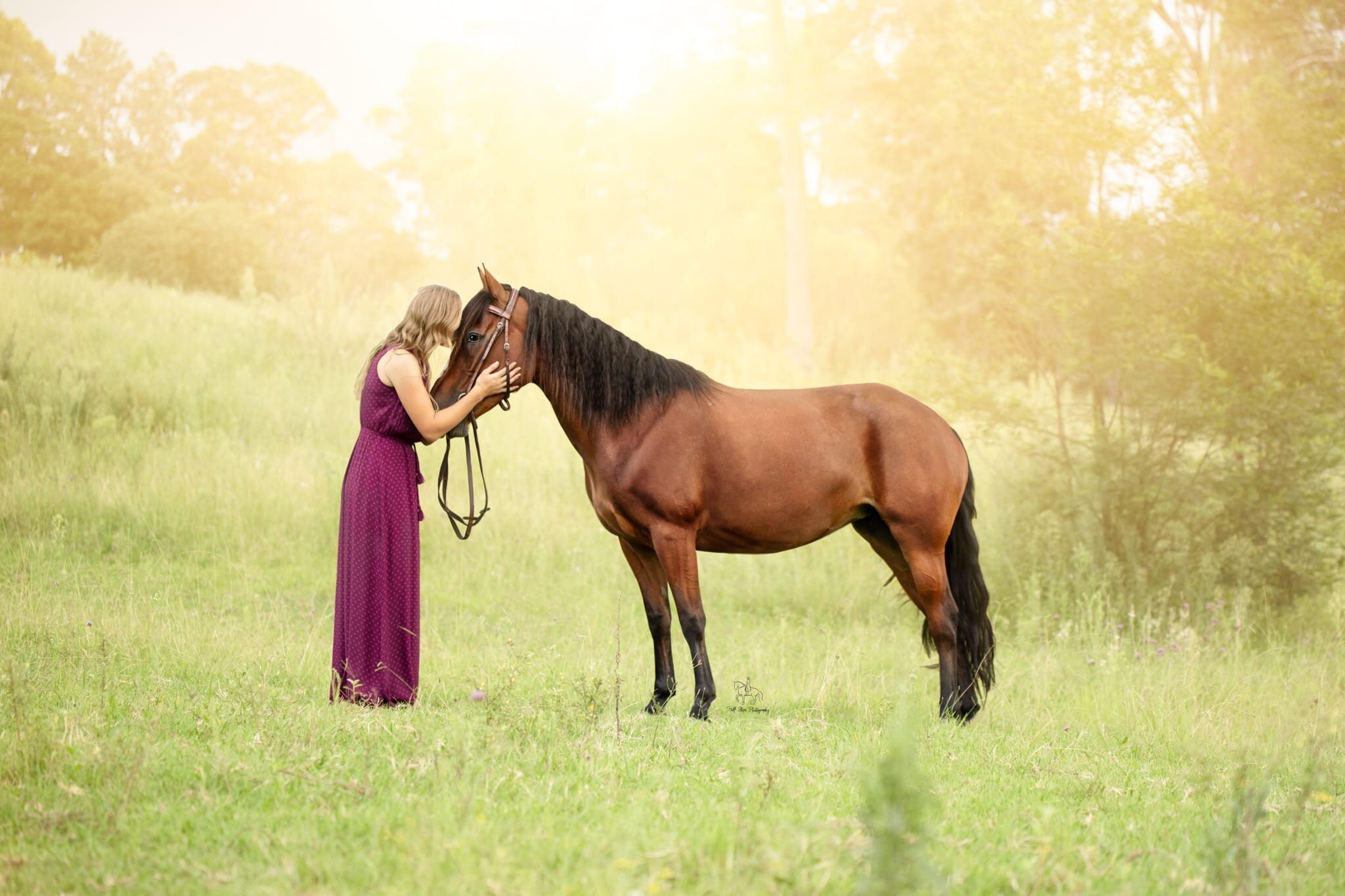 37. Woman kisses bay horse at sunset Half Steps Photography