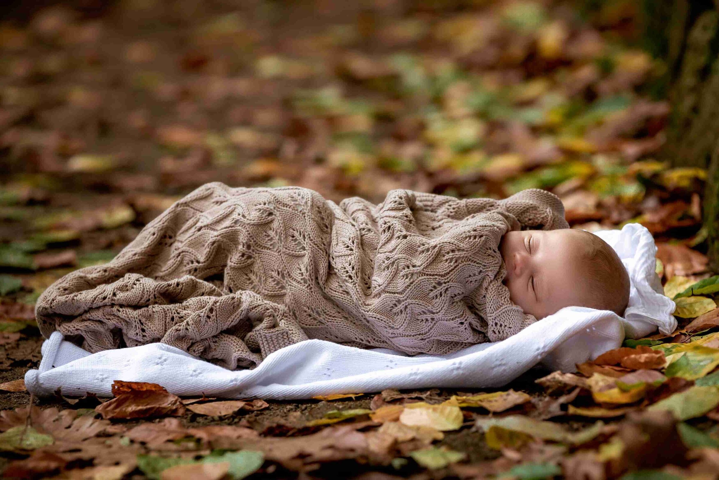 Newborn baby wrapped in a stone coloured blanket asleep amongst the Autumn leaves