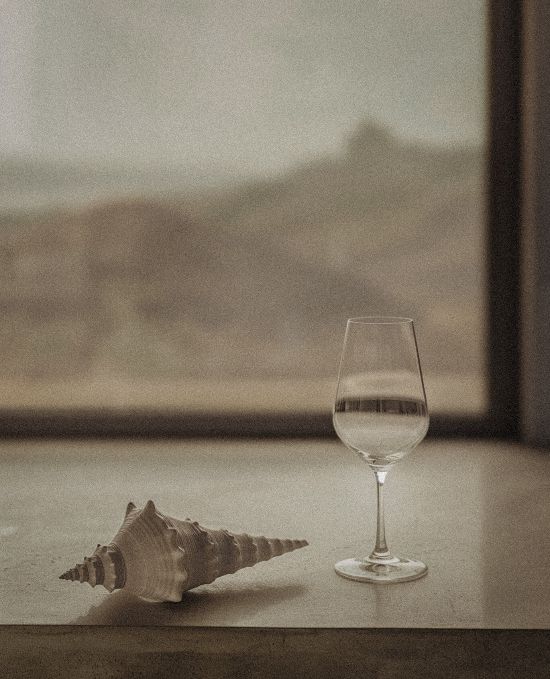 rocky ocean view with spiral shell whole and a wine glass filled with water on a counter