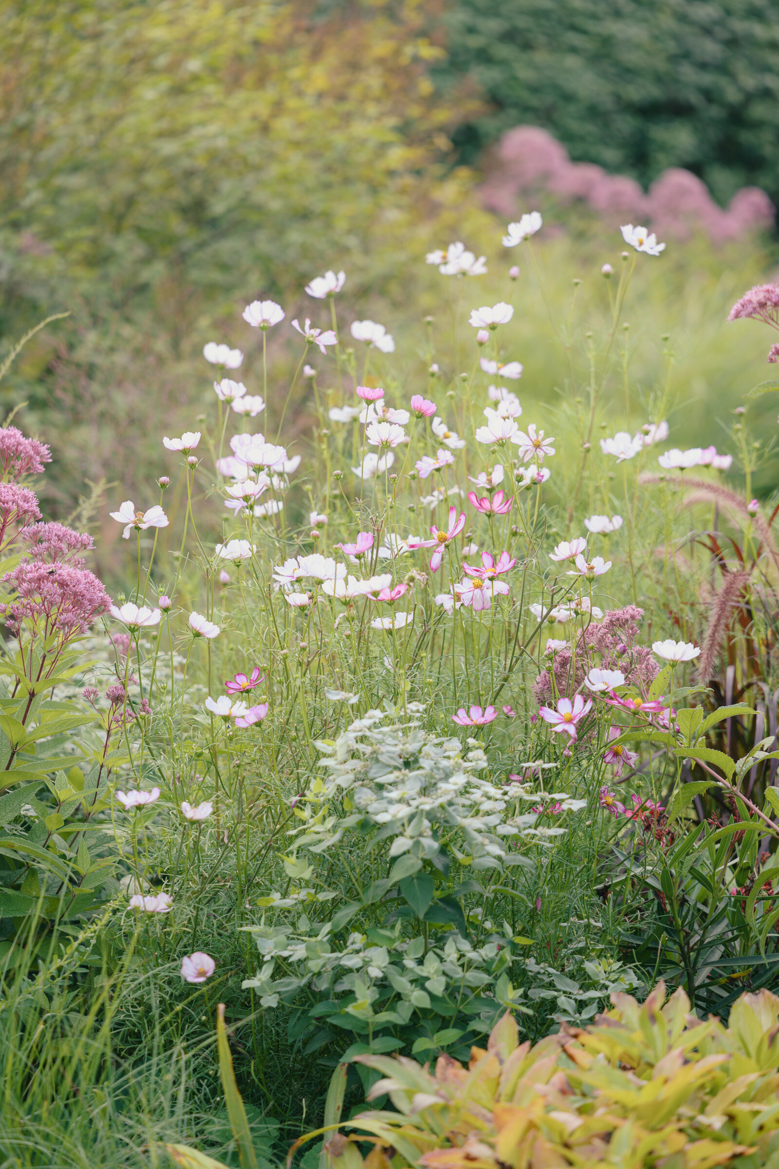 European_Style_Garden_Wedding-94