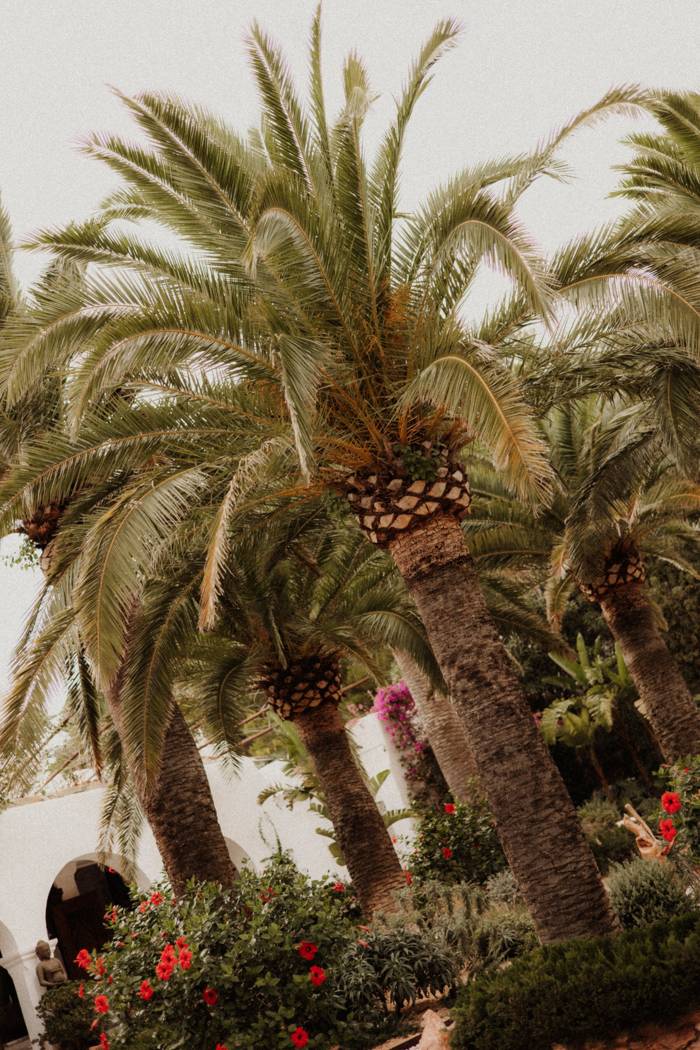 Melanie Huibers photography -1