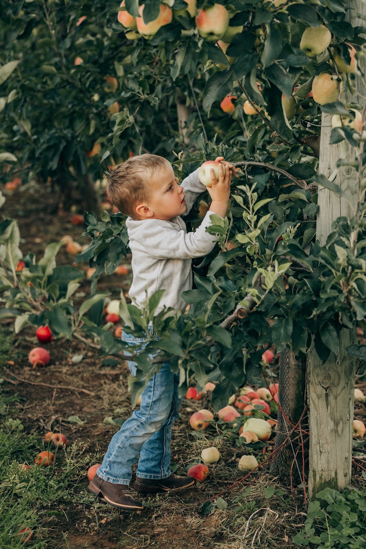 NOVA MARKINA FAMILY PHOTOGRAPHY59