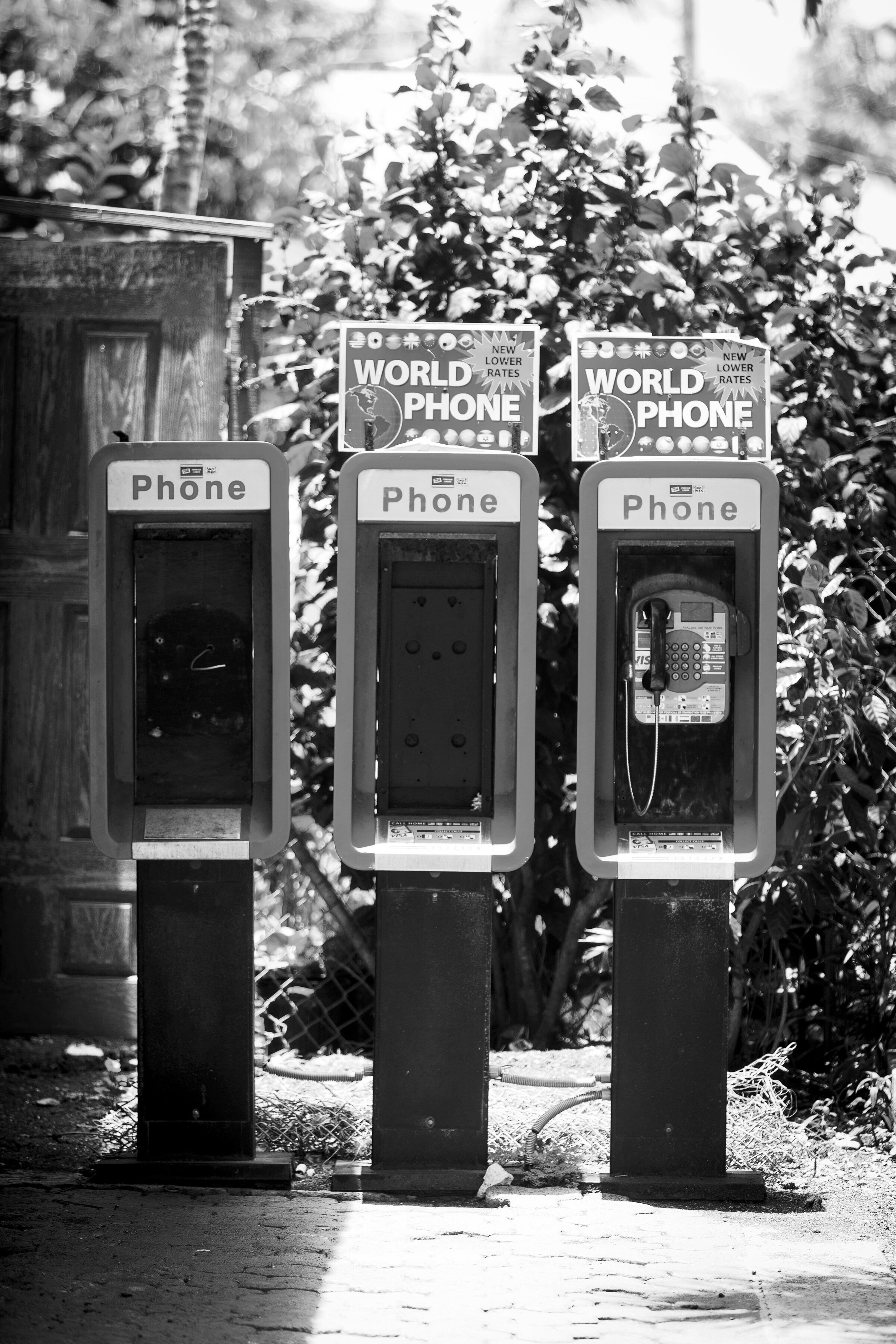 worldphonebw