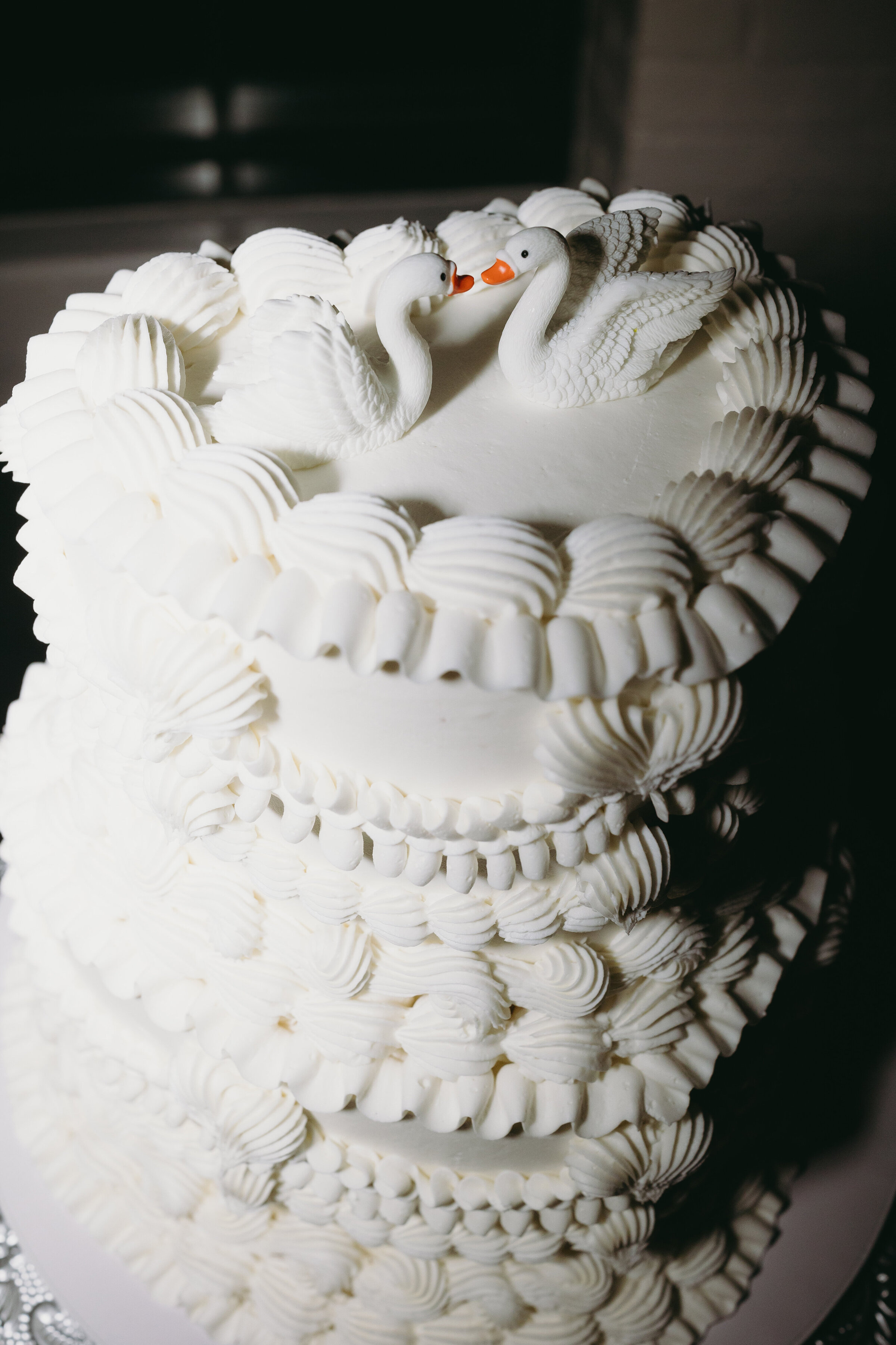 SydneyDarwinPhotography-40758