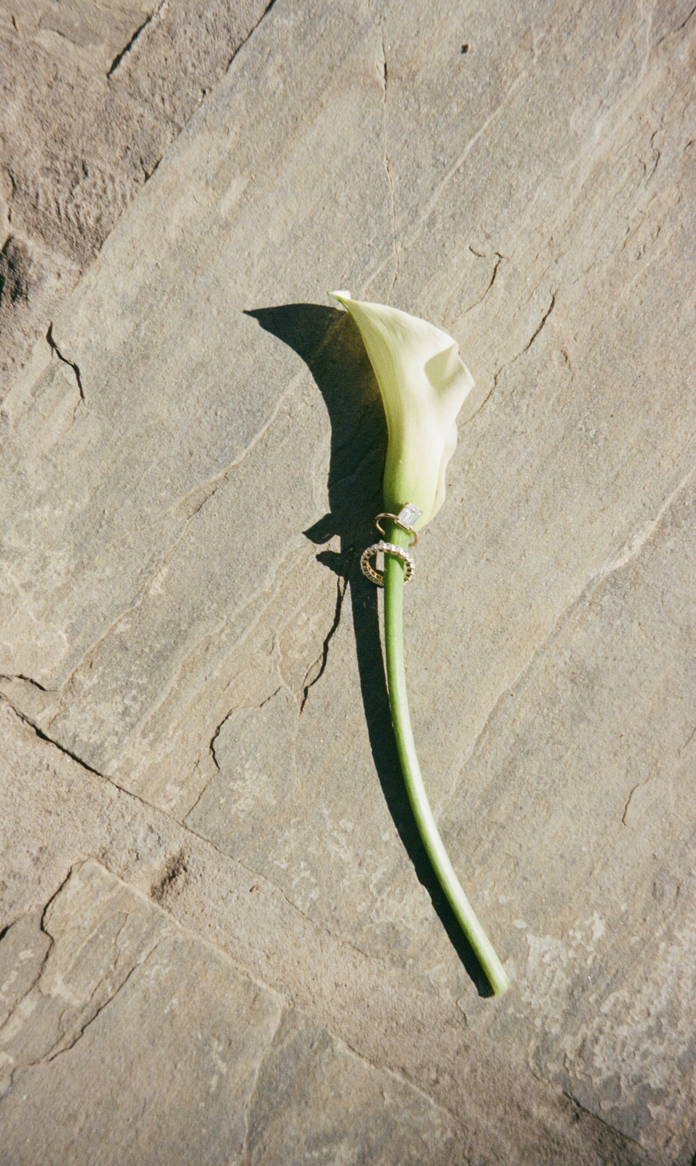 Bri Berry Photography-042294020030