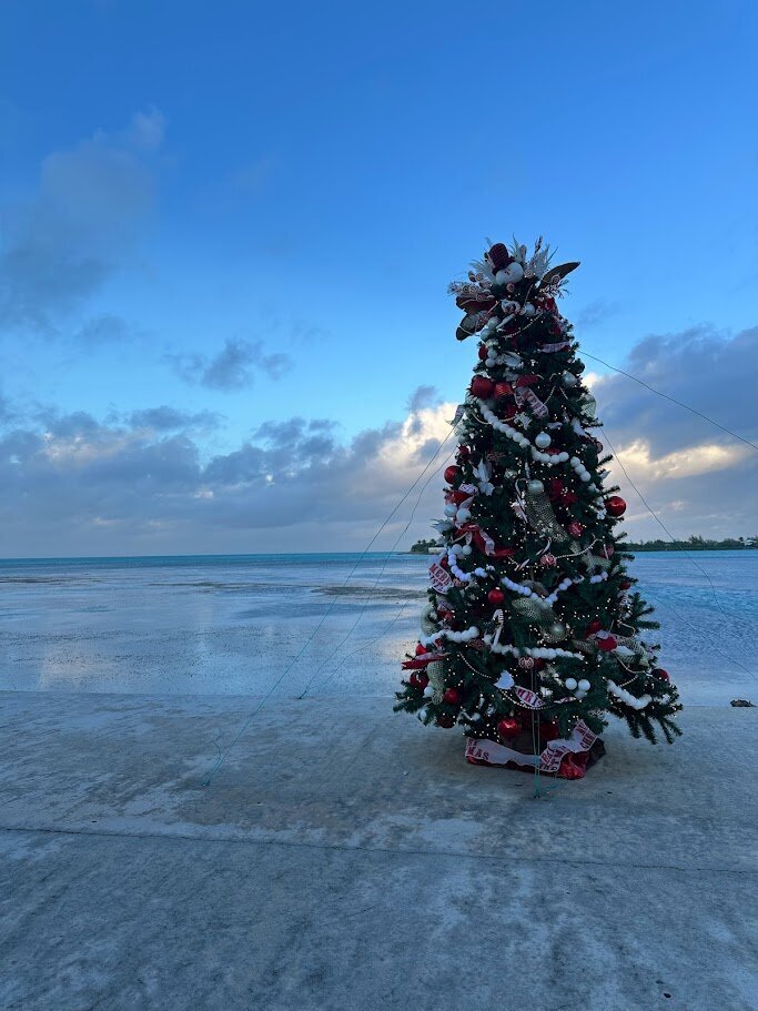 tropical holidays