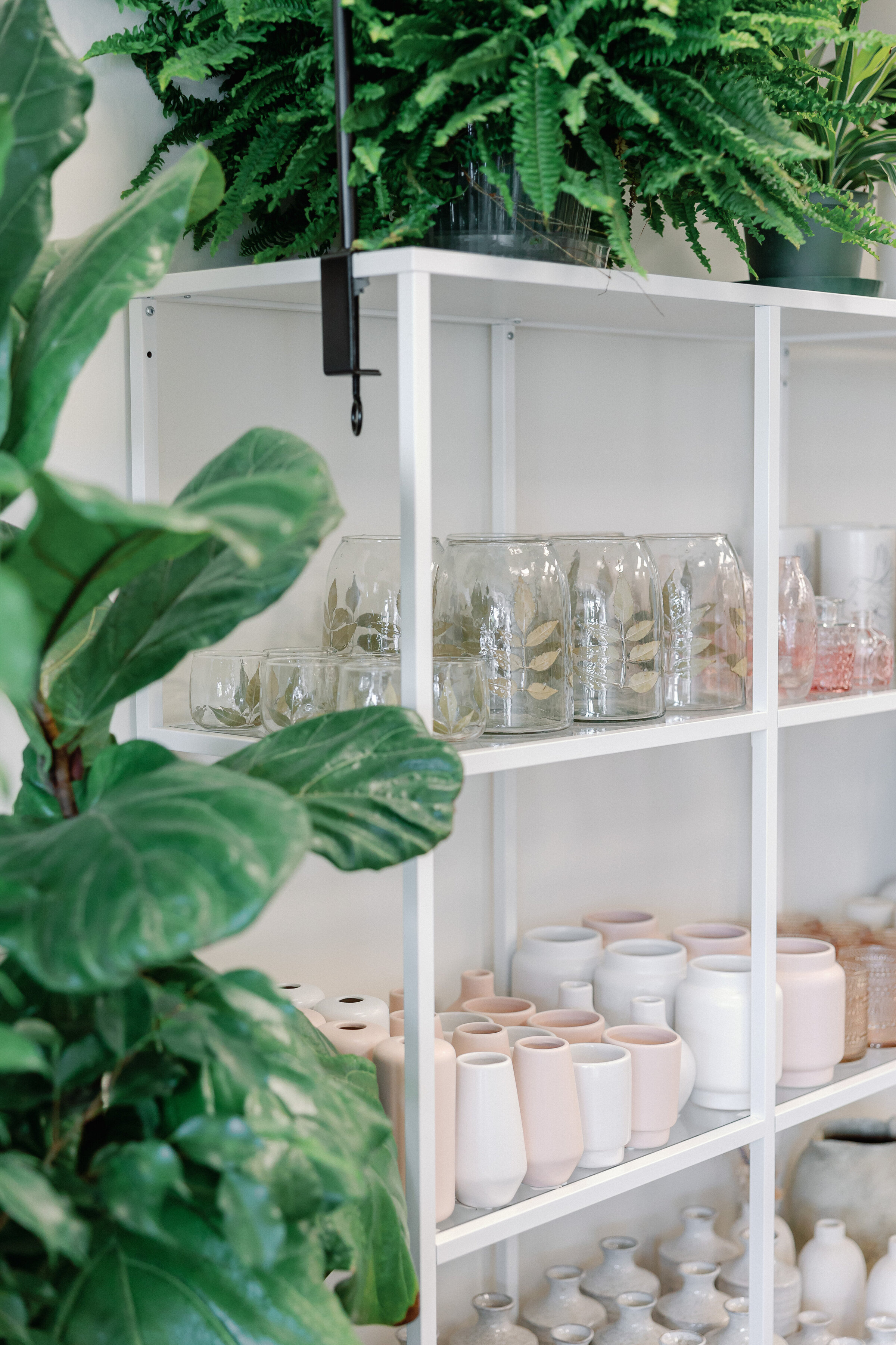 botanique cape cod florist branding session-2