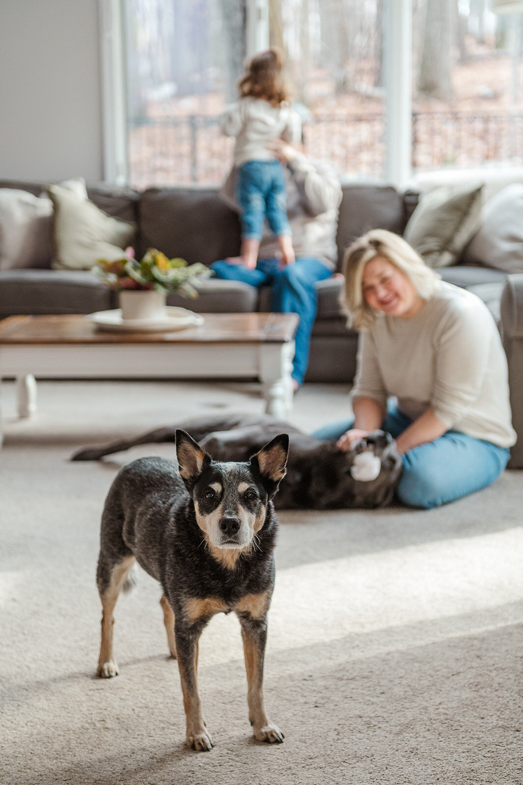 playtime with the family dog during a documentary photo session in Lancaster, Pennsylvania.