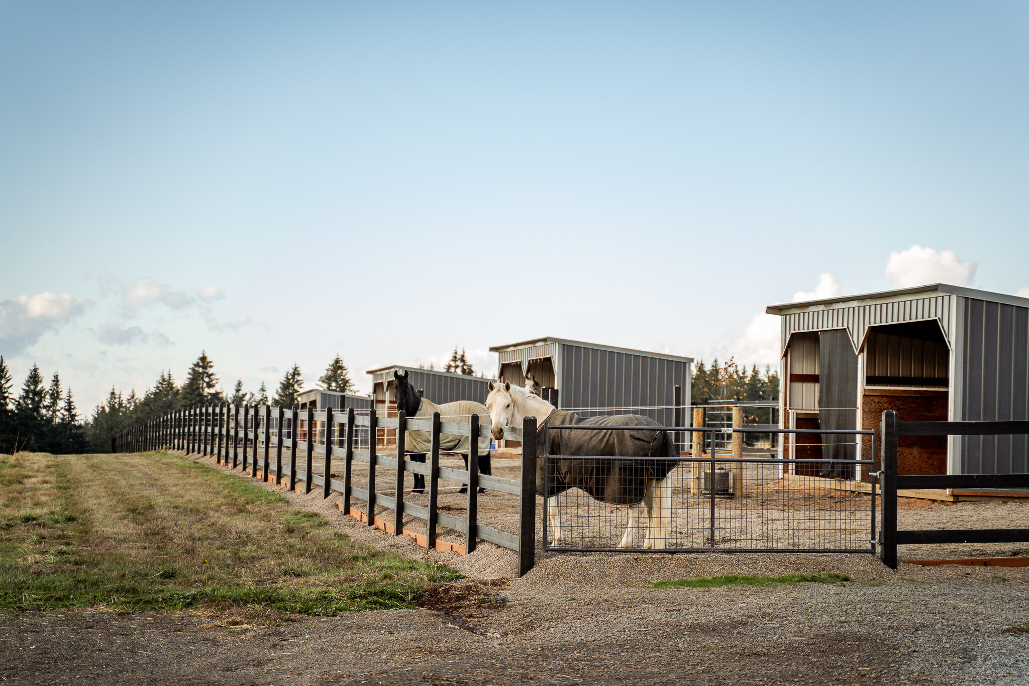 AwakeRanch_0104_Web