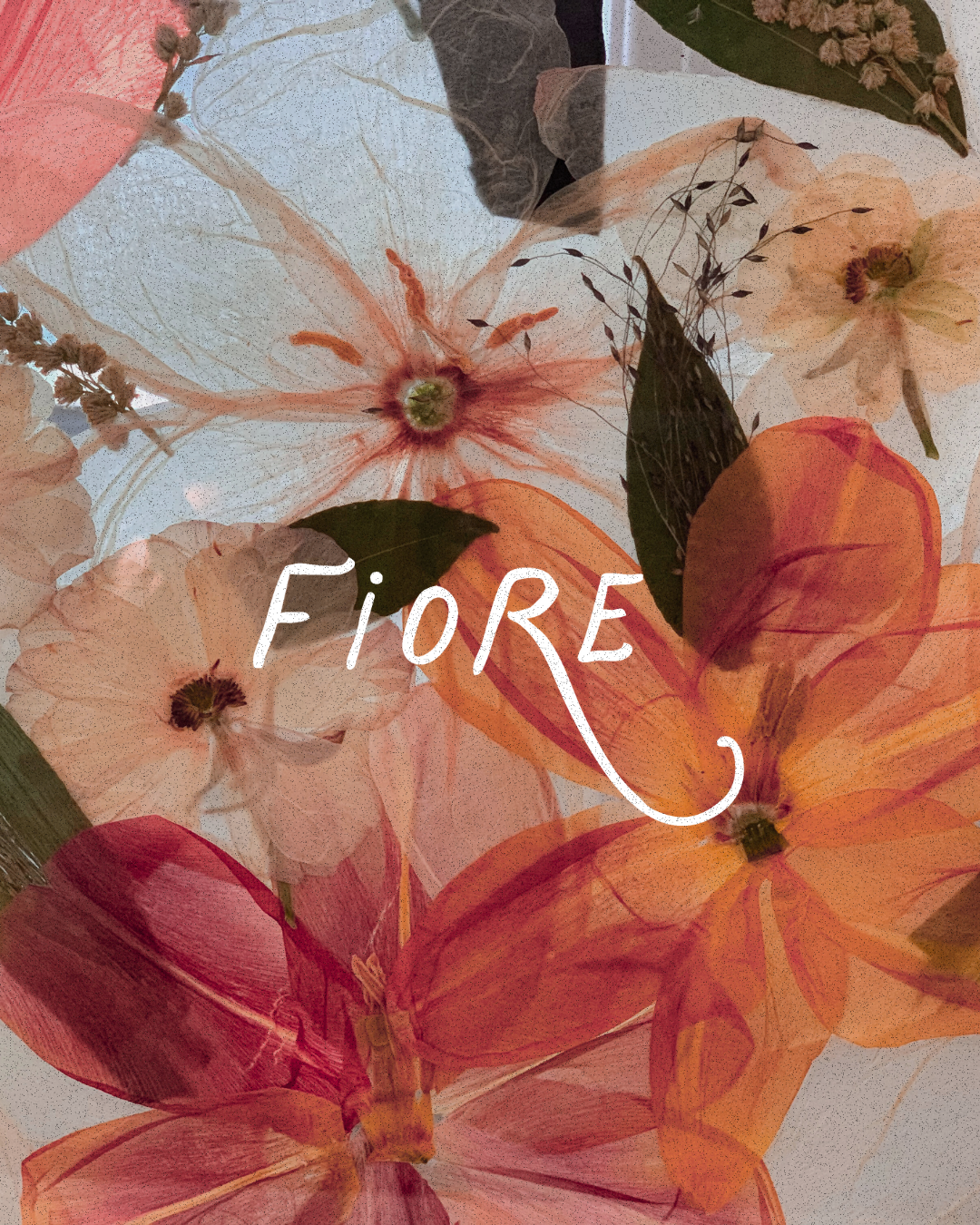fiore  Mockups