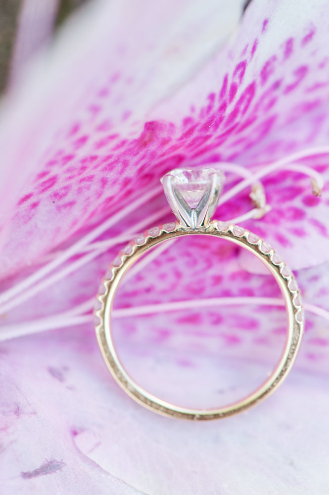 engagement-portraits-christina-forbes-photography-24