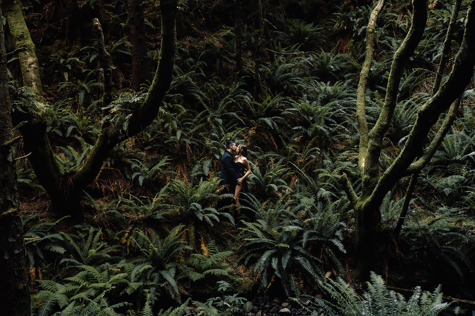 nestled deep in a wall of lush, deep green ferns, a bride and groom kiss while wearing all black wedding attire. their elopement photographers place them perfectly centered between two mossy coastal trees creating a beautiful composition.