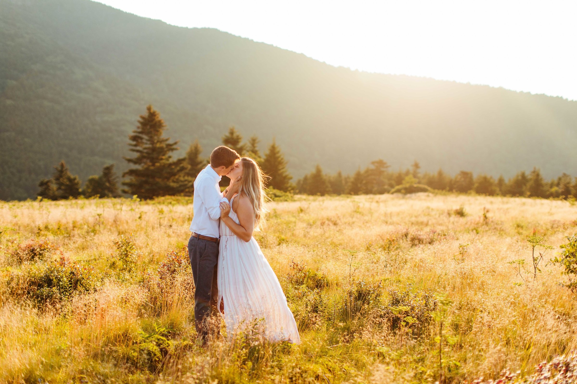 Roan Mountain state park engagement pictures
