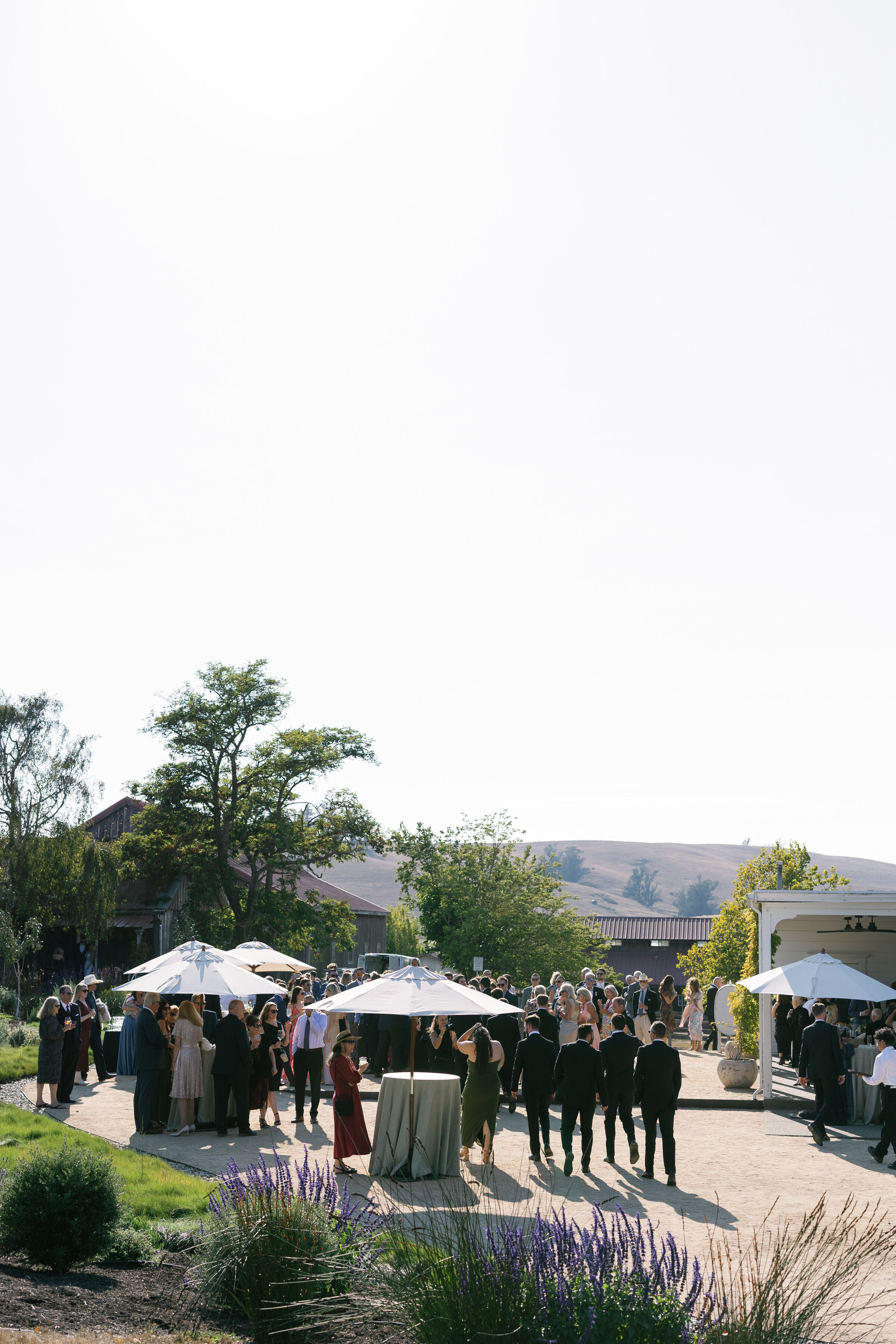 Alyssagaylephotography-Olympiasvalleyestate-petaluma-california-wedding-149