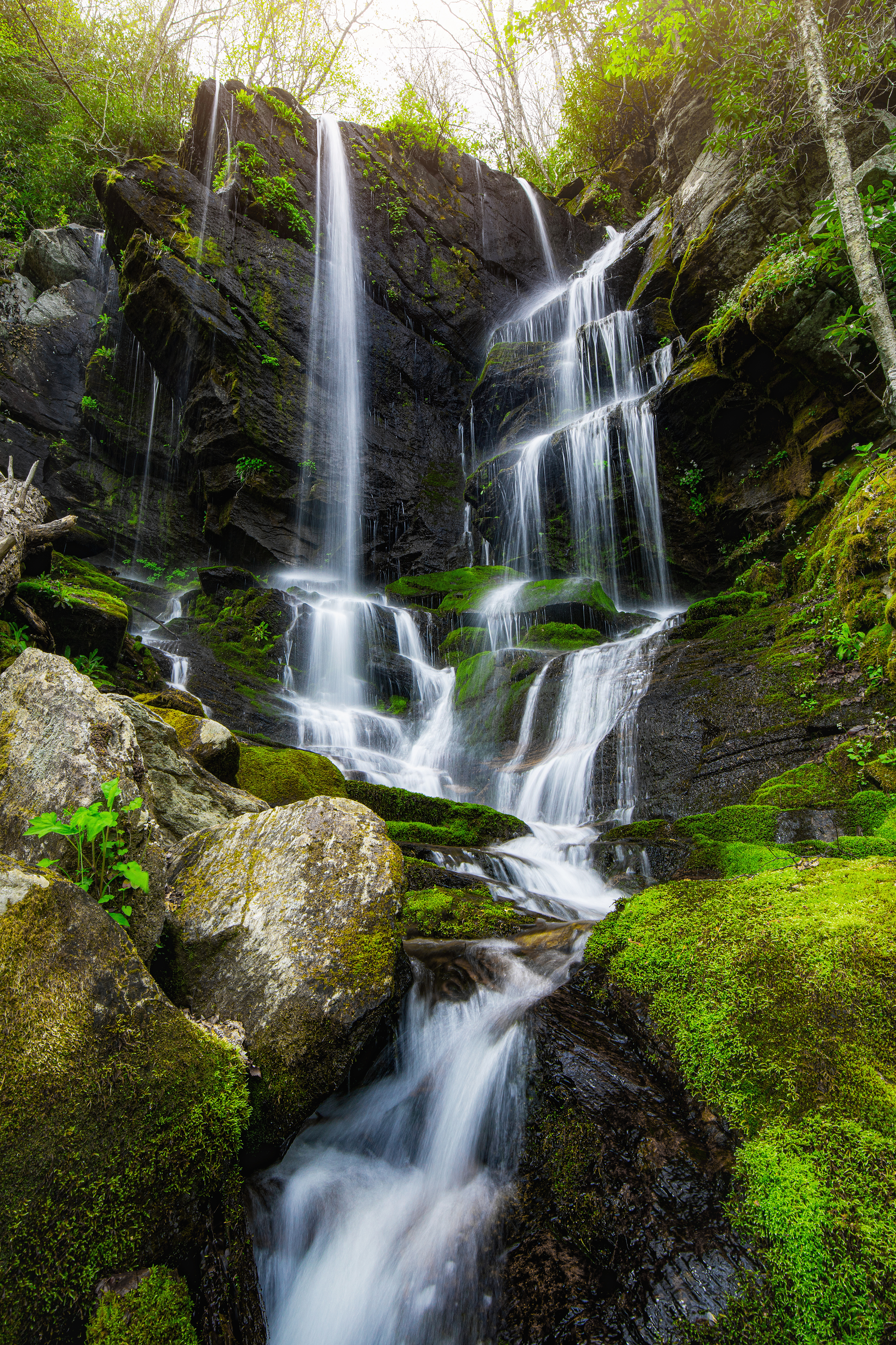Waterfall by Michael Kaal Photography 
